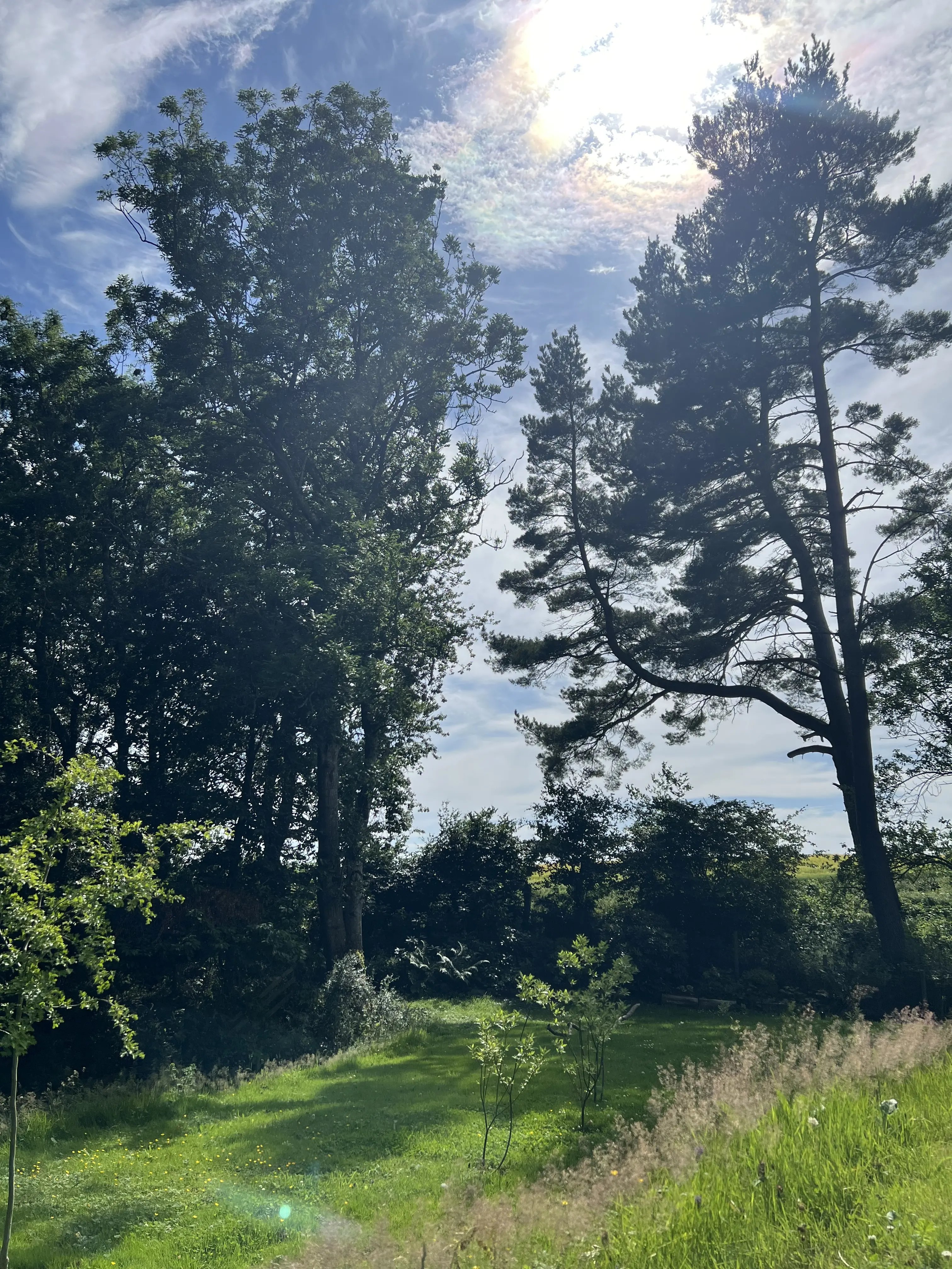 Help at a Rural Cottage, Scotland - Thumbnail 9