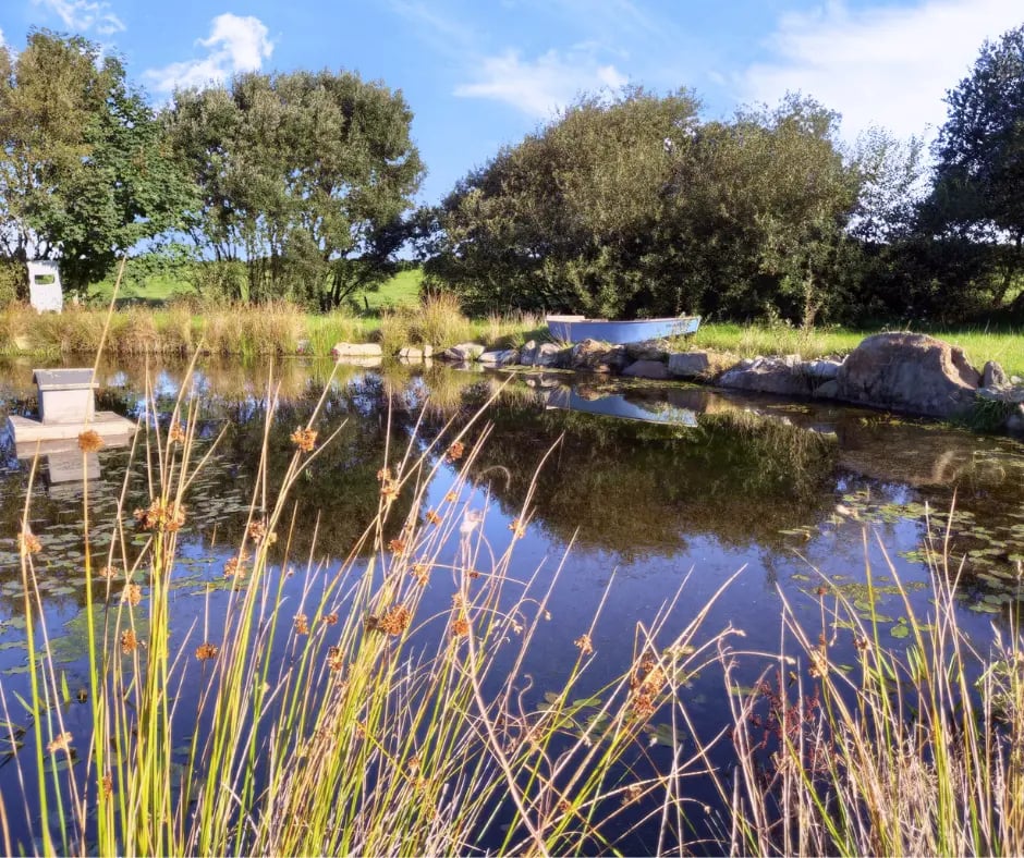 Luxury glamping site, North Wales - Thumbnail 7