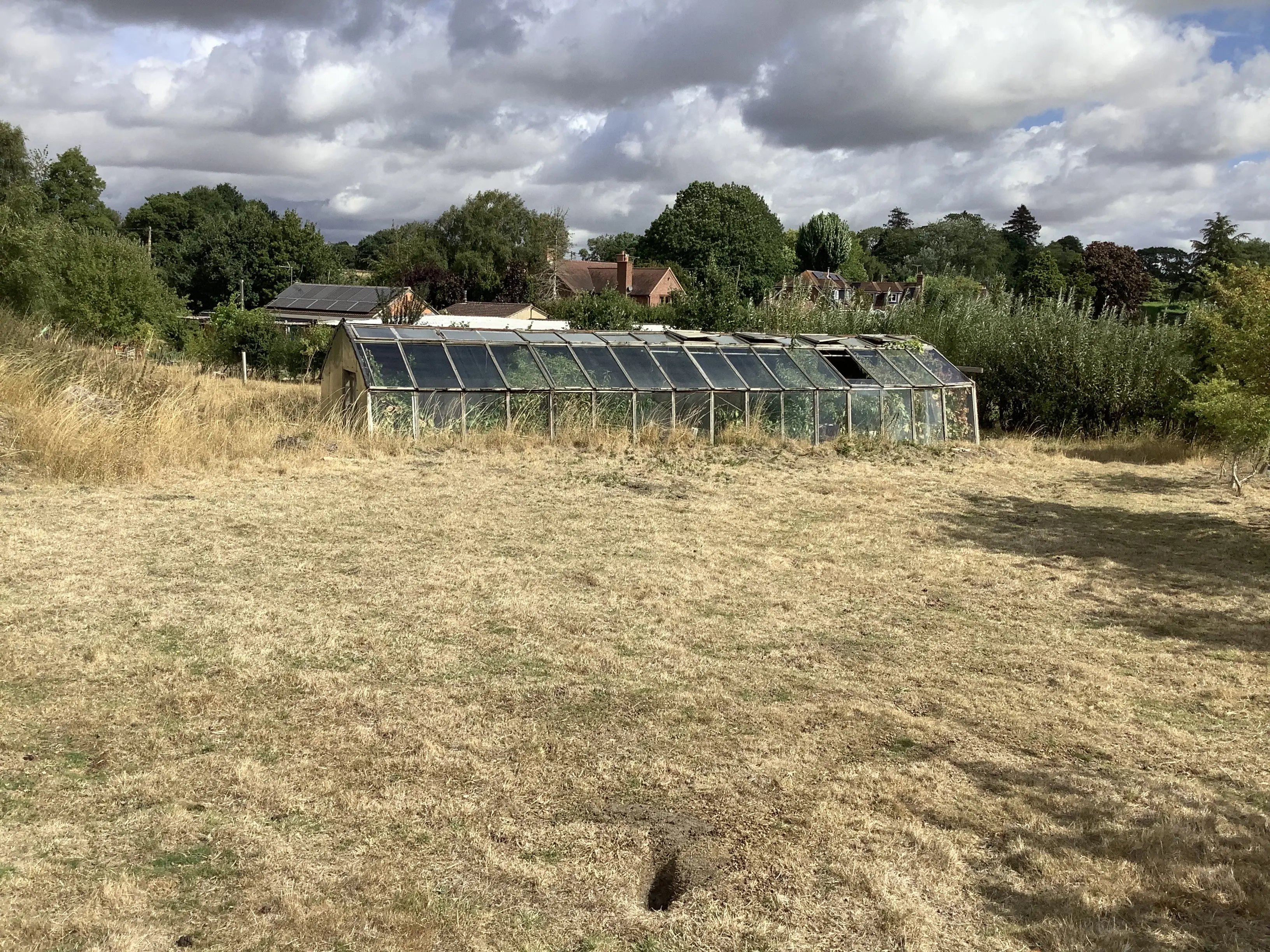 Help on a small farm, Wiltshire - Thumbnail 10
