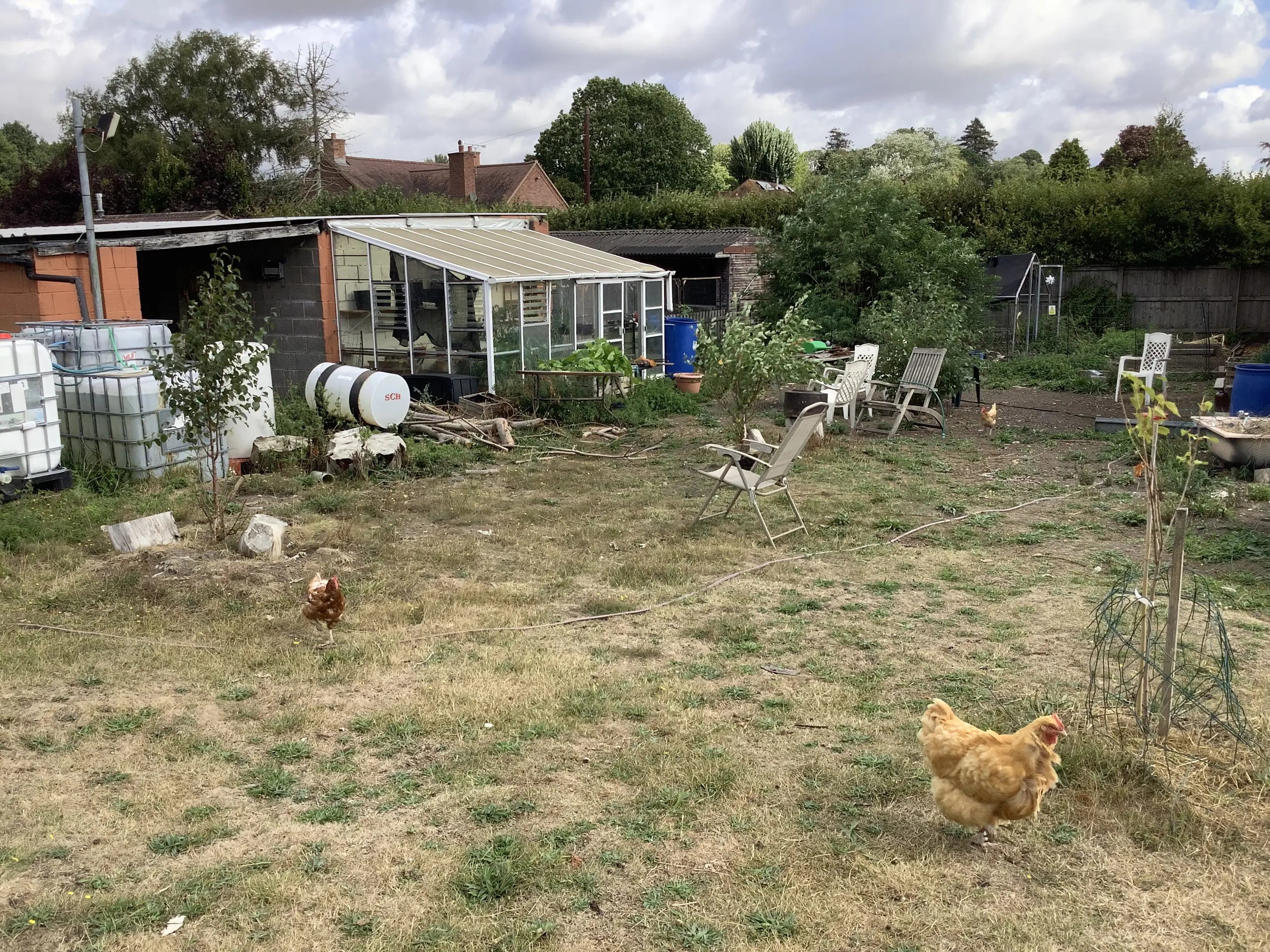 Help on a small farm, Wiltshire - Thumbnail 7