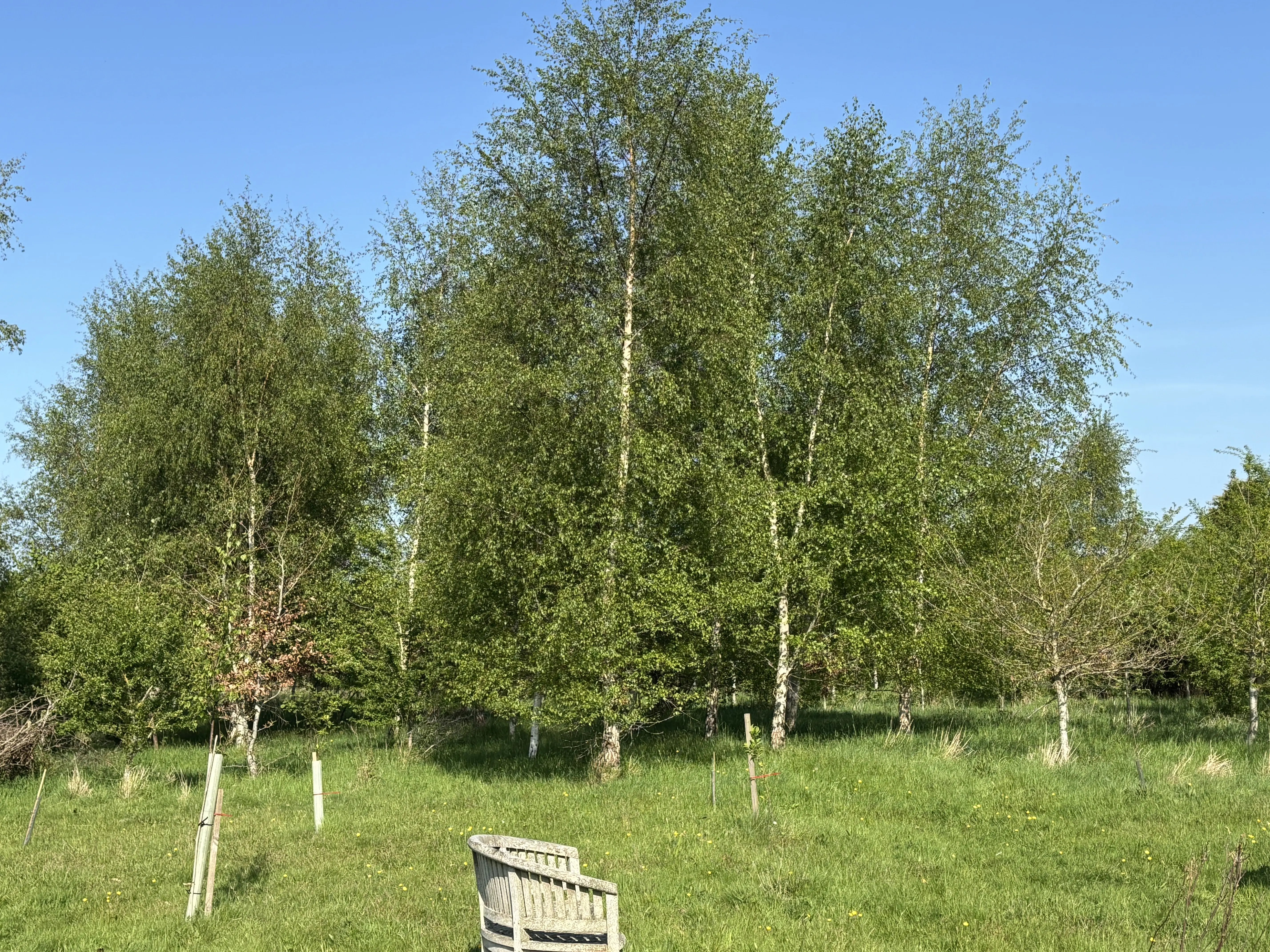 Help on a small farm, Wiltshire - Thumbnail 2