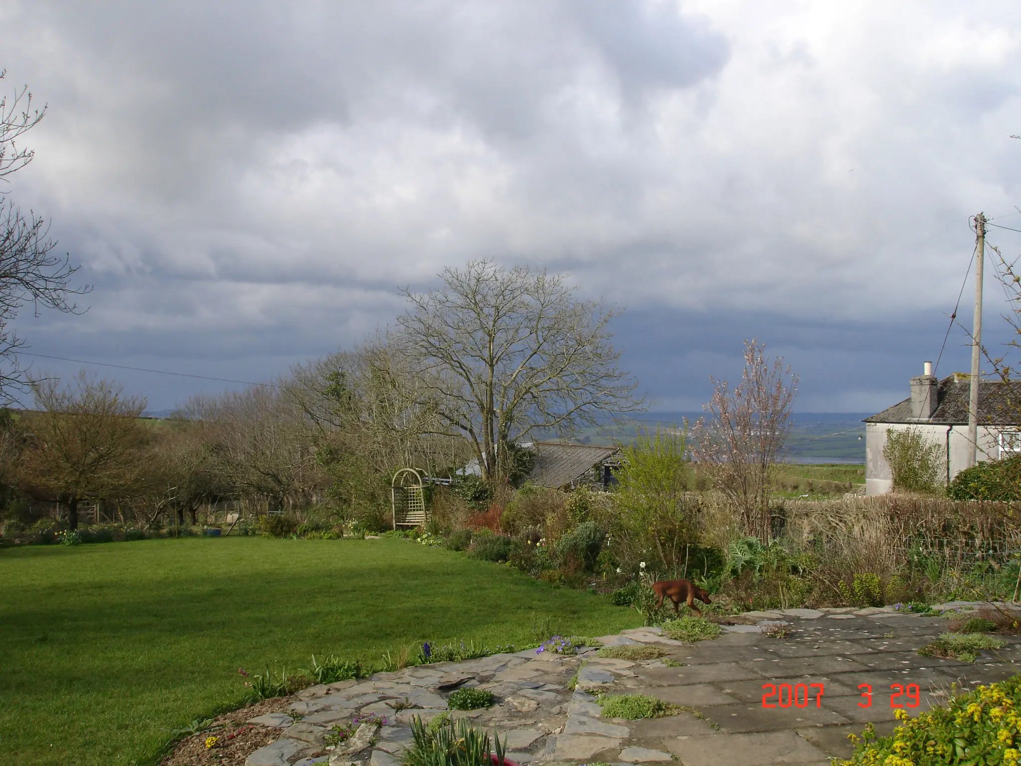 Dog rescue homestay, south Devon - Thumbnail 4