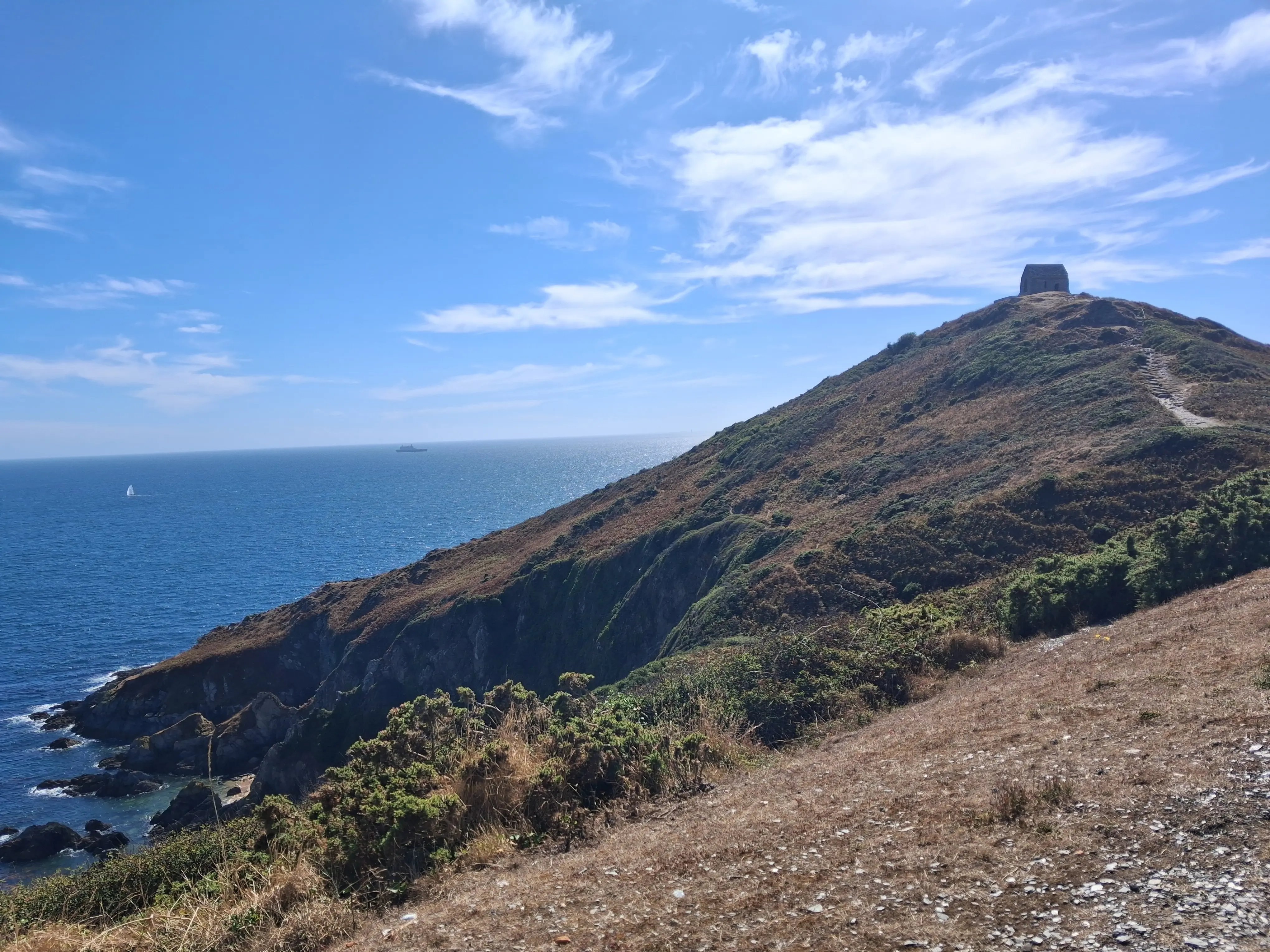 Dog rescue homestay, south Devon - Thumbnail 13