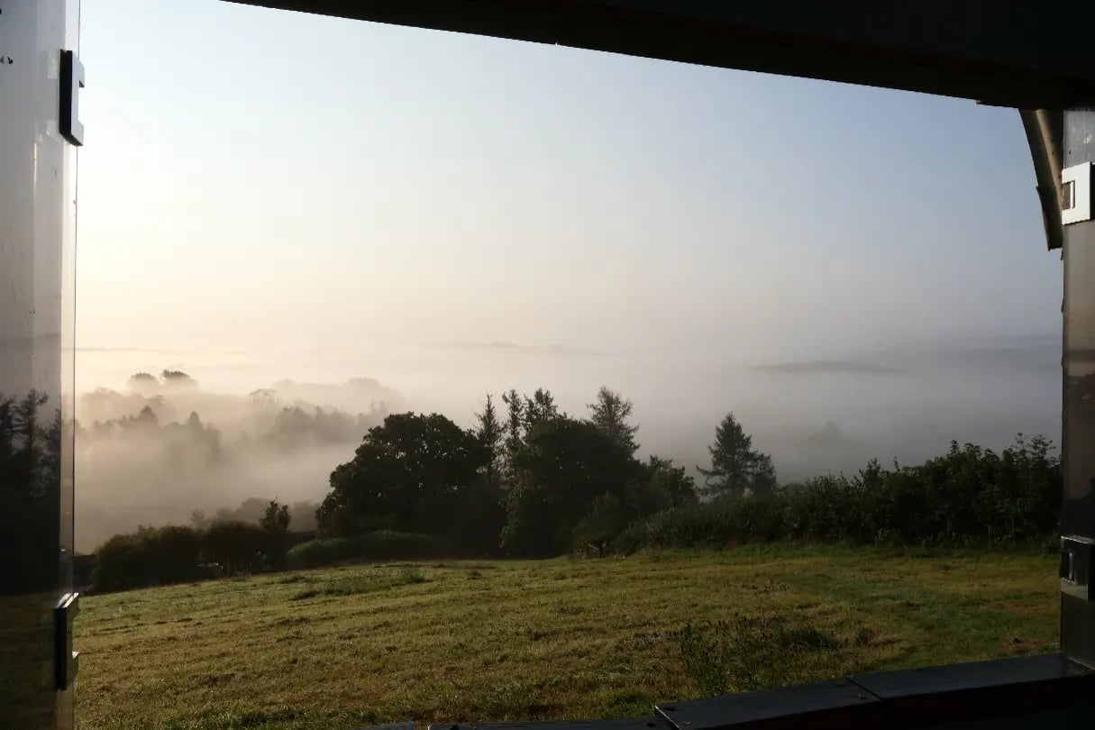 Beautiful Welsh gardens - Thumbnail 18