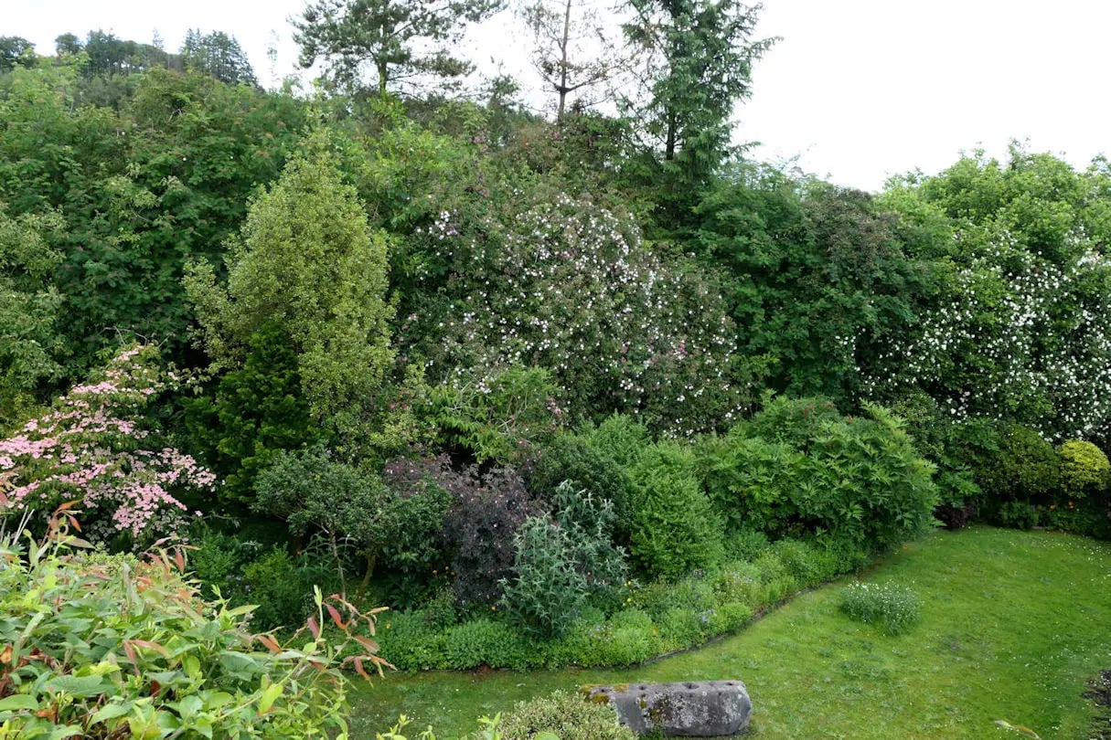 Beautiful Welsh gardens - Thumbnail 6