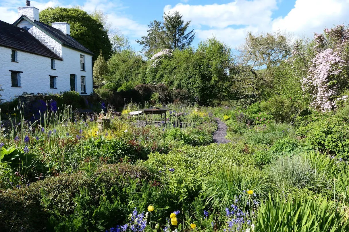 Beautiful Welsh gardens - Thumbnail 2