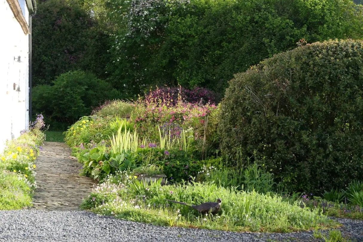 Beautiful Welsh gardens - Thumbnail 3