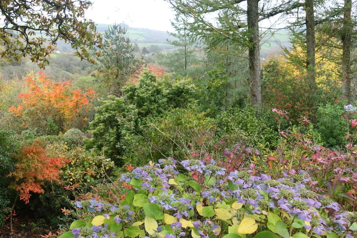 Beautiful Welsh gardens - Thumbnail 4