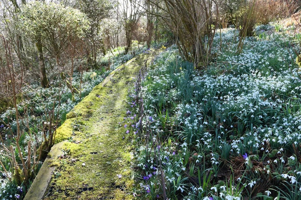 Beautiful Welsh gardens - Thumbnail 5