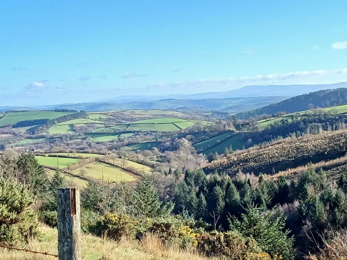 Beautiful Welsh gardens - Thumbnail 24