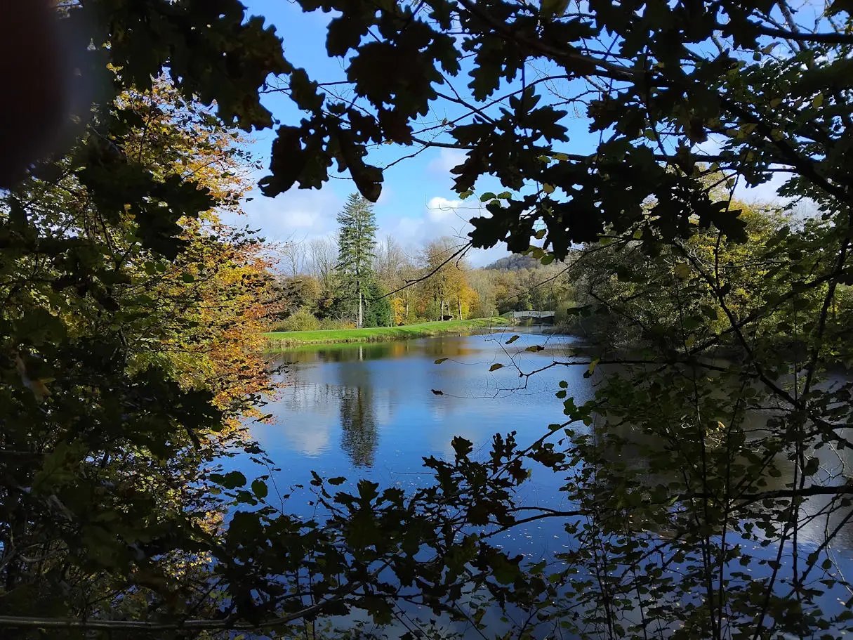 Beautiful Welsh gardens - Thumbnail 28