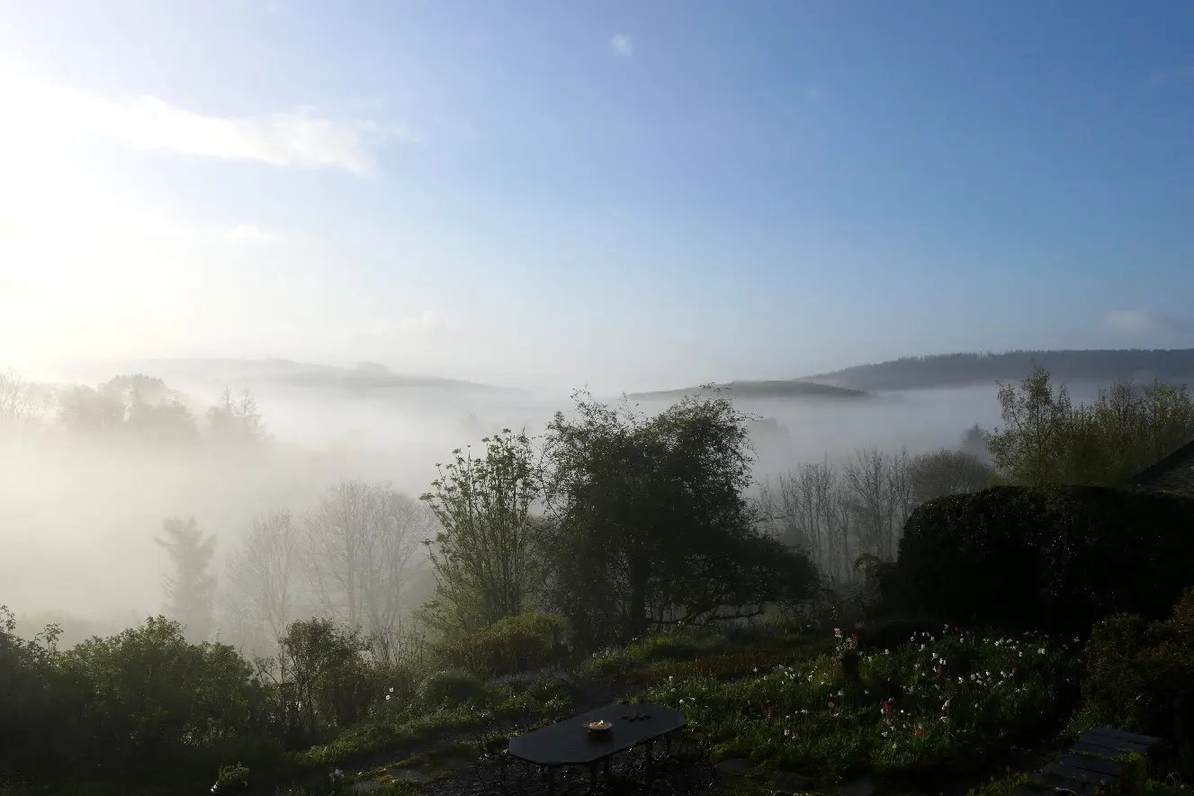Beautiful Welsh gardens - Thumbnail 39