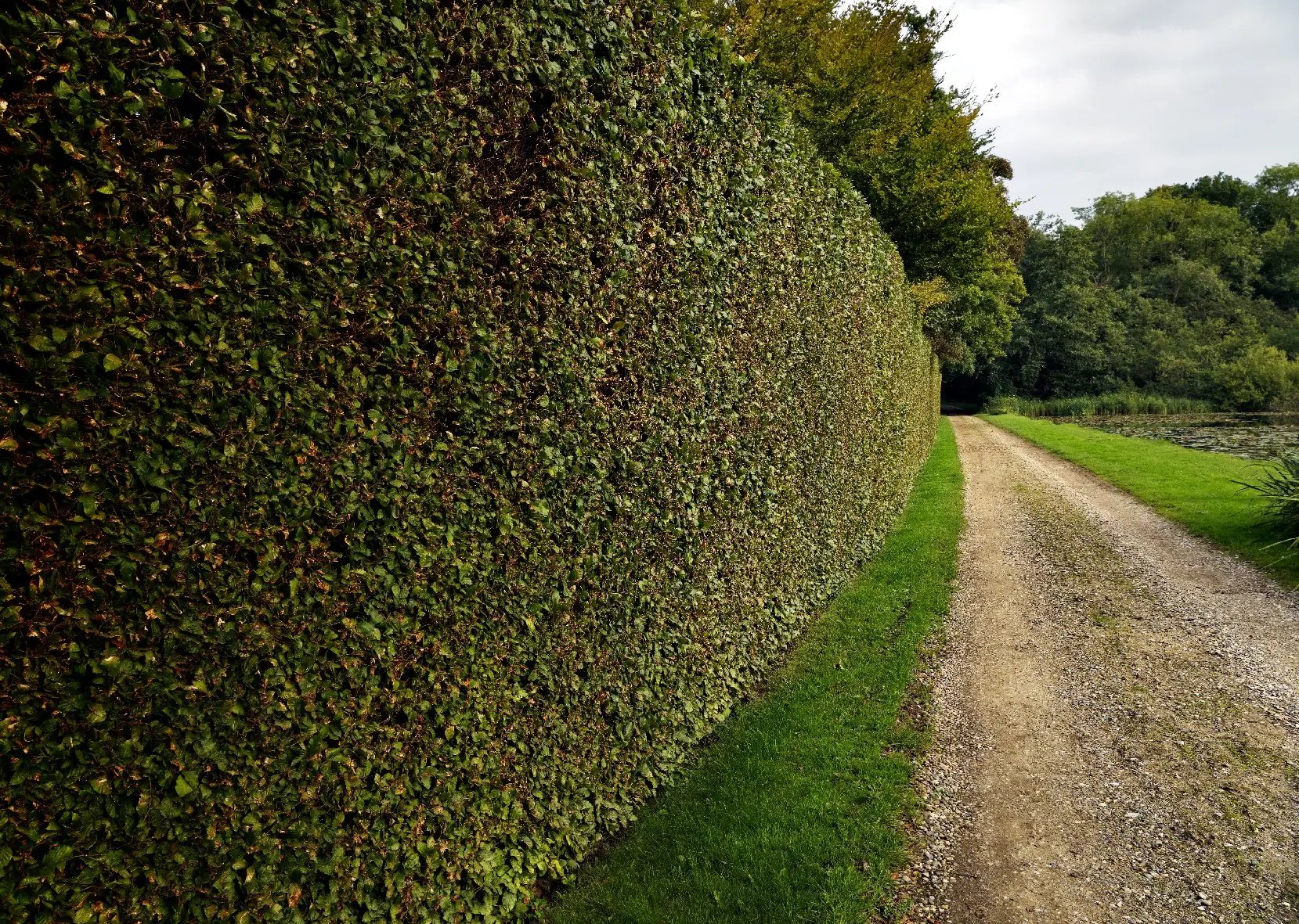 Country house and estate, North Norfolk - Thumbnail 8