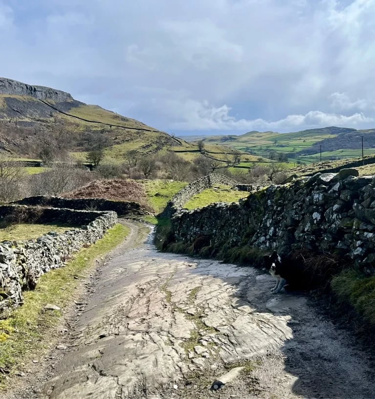 Tech Savvy admin help in Yorkshire Dales - Thumbnail 5