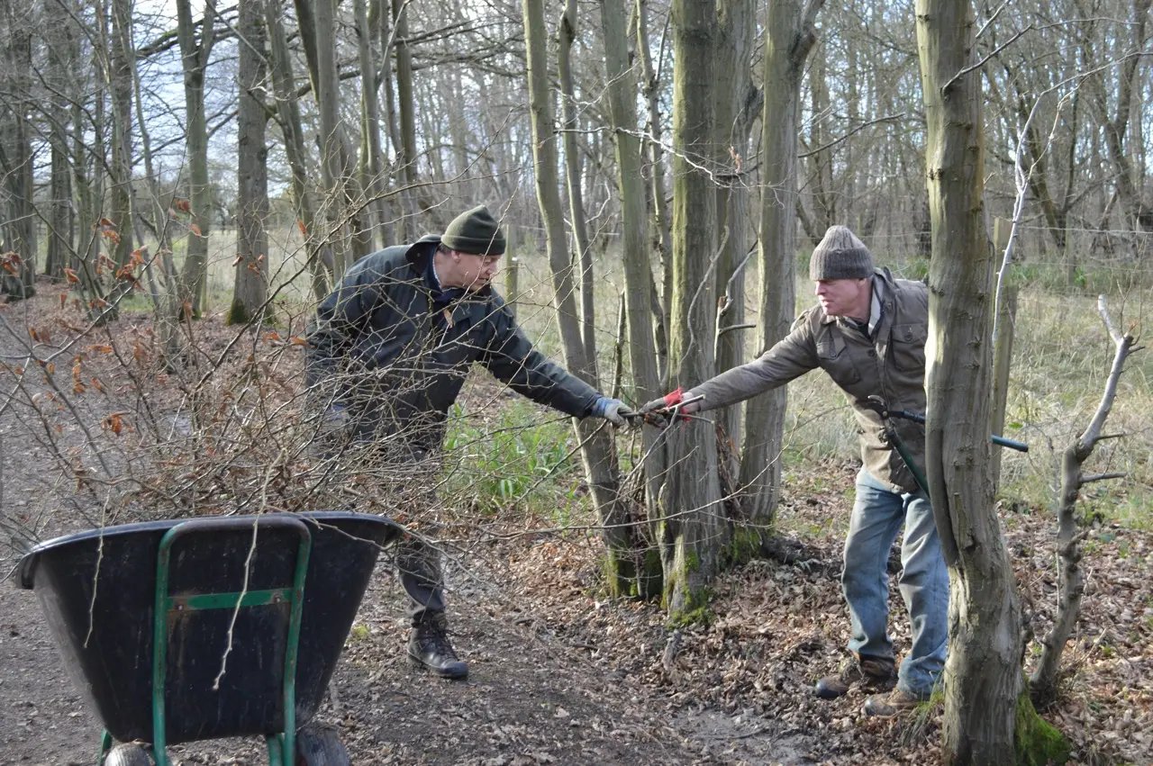 Glamping and conservation, Hertfordshire - Thumbnail 11