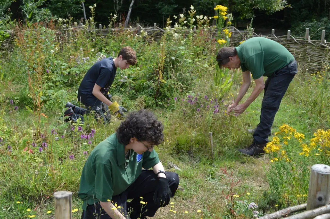 Glamping and conservation, Hertfordshire - Thumbnail 9