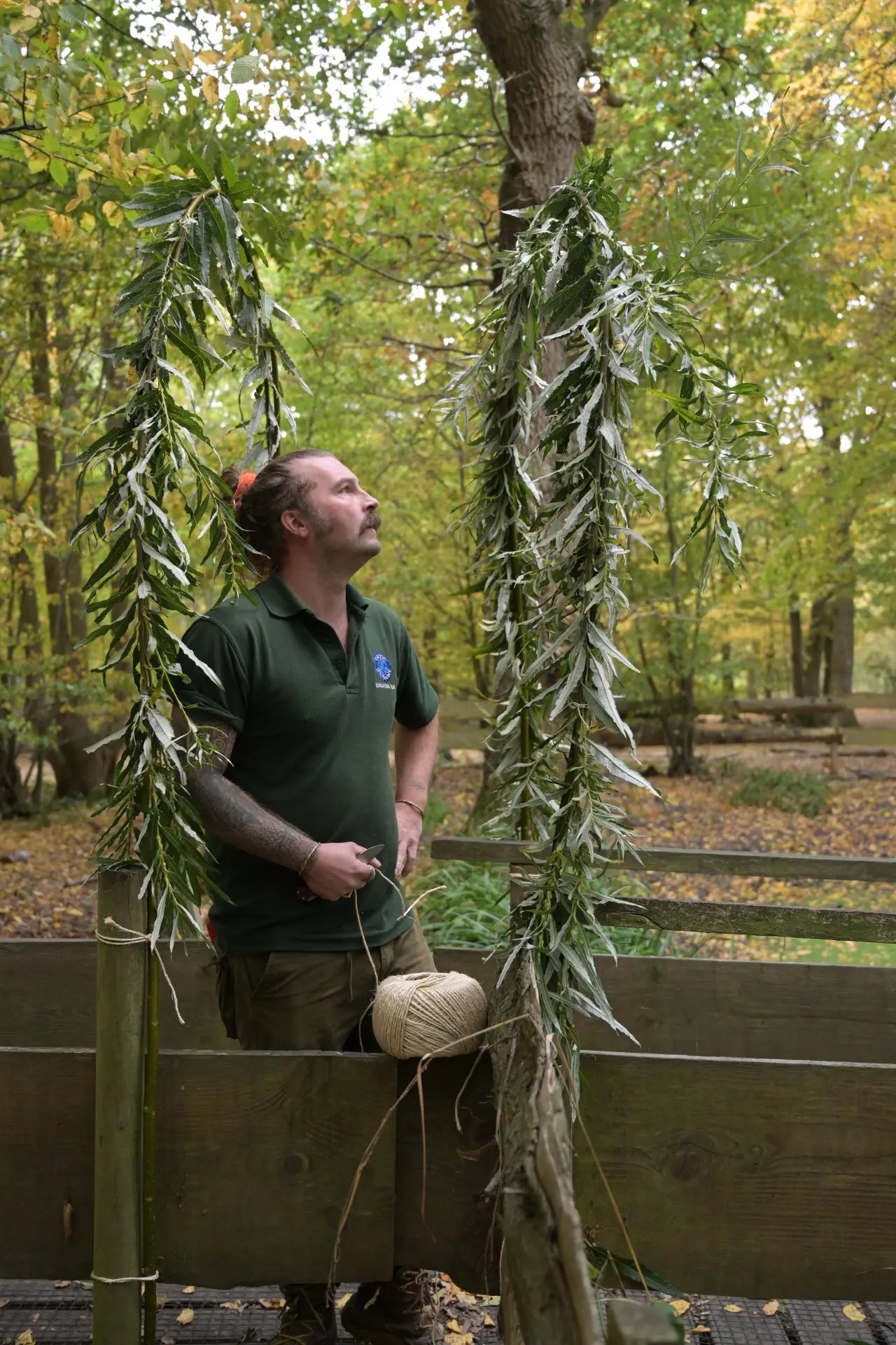 Glamping and conservation, Hertfordshire - Thumbnail 10