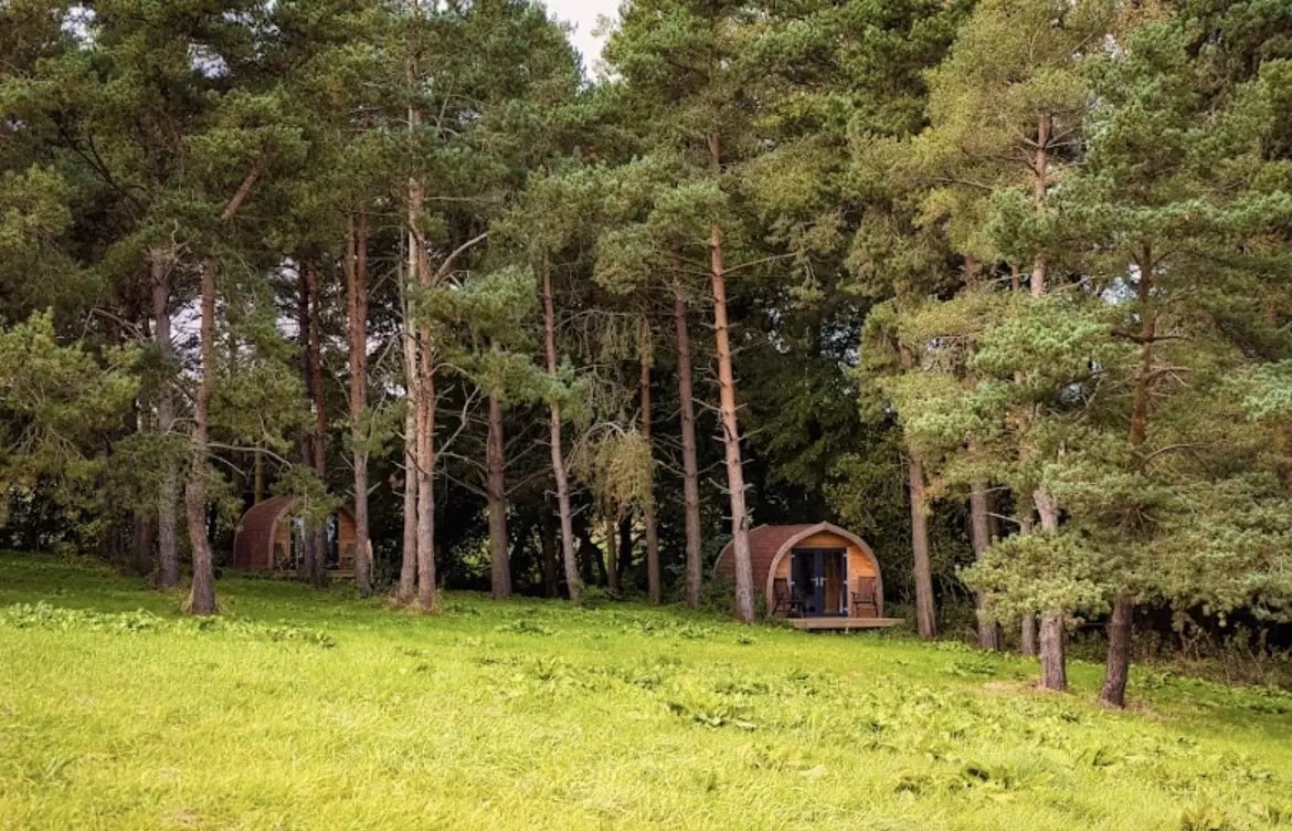 Eco Organic Farmstay in the Countryside - Thumbnail 8