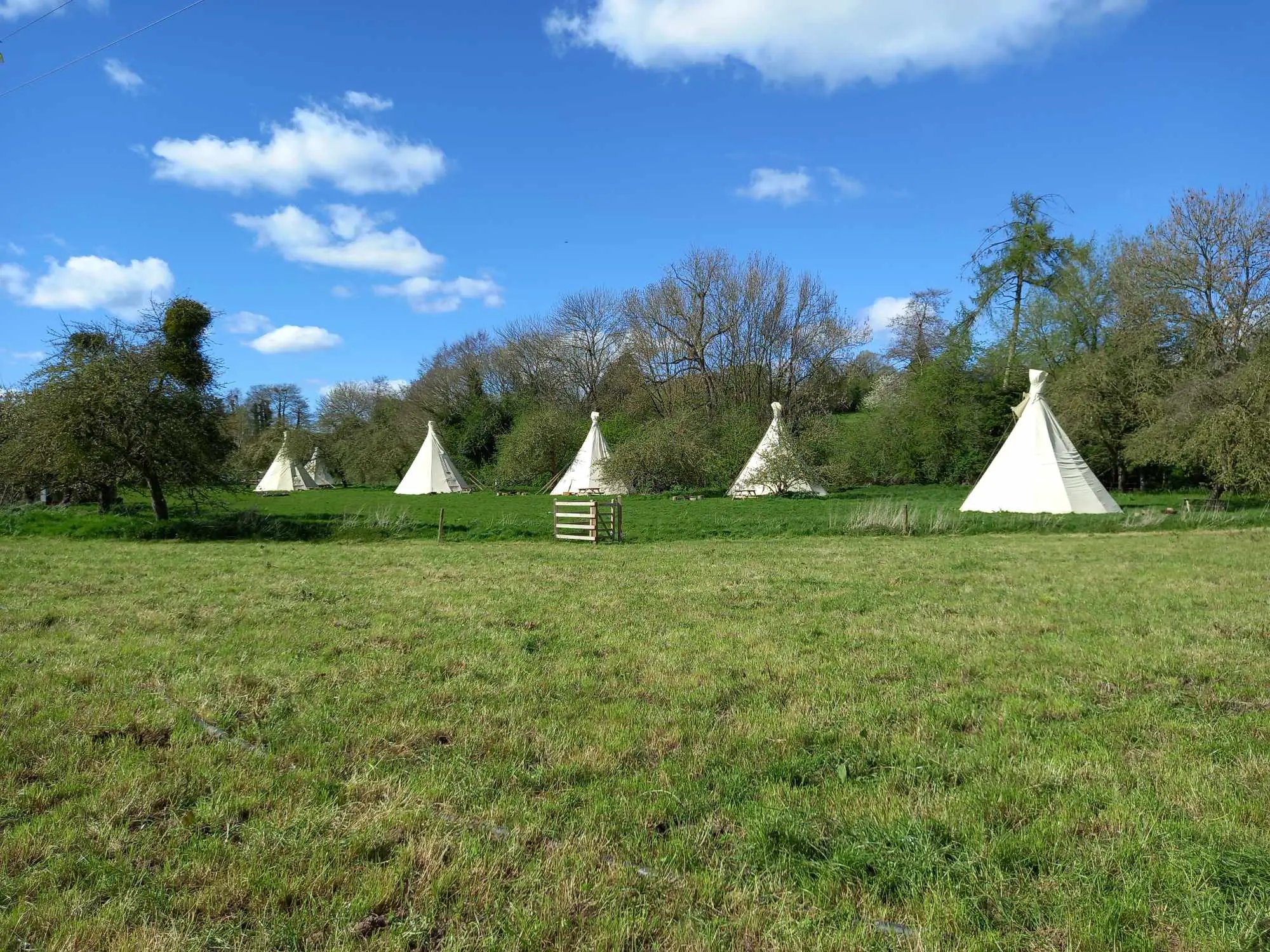 Help at our riverside glamping retreat - Thumbnail 8