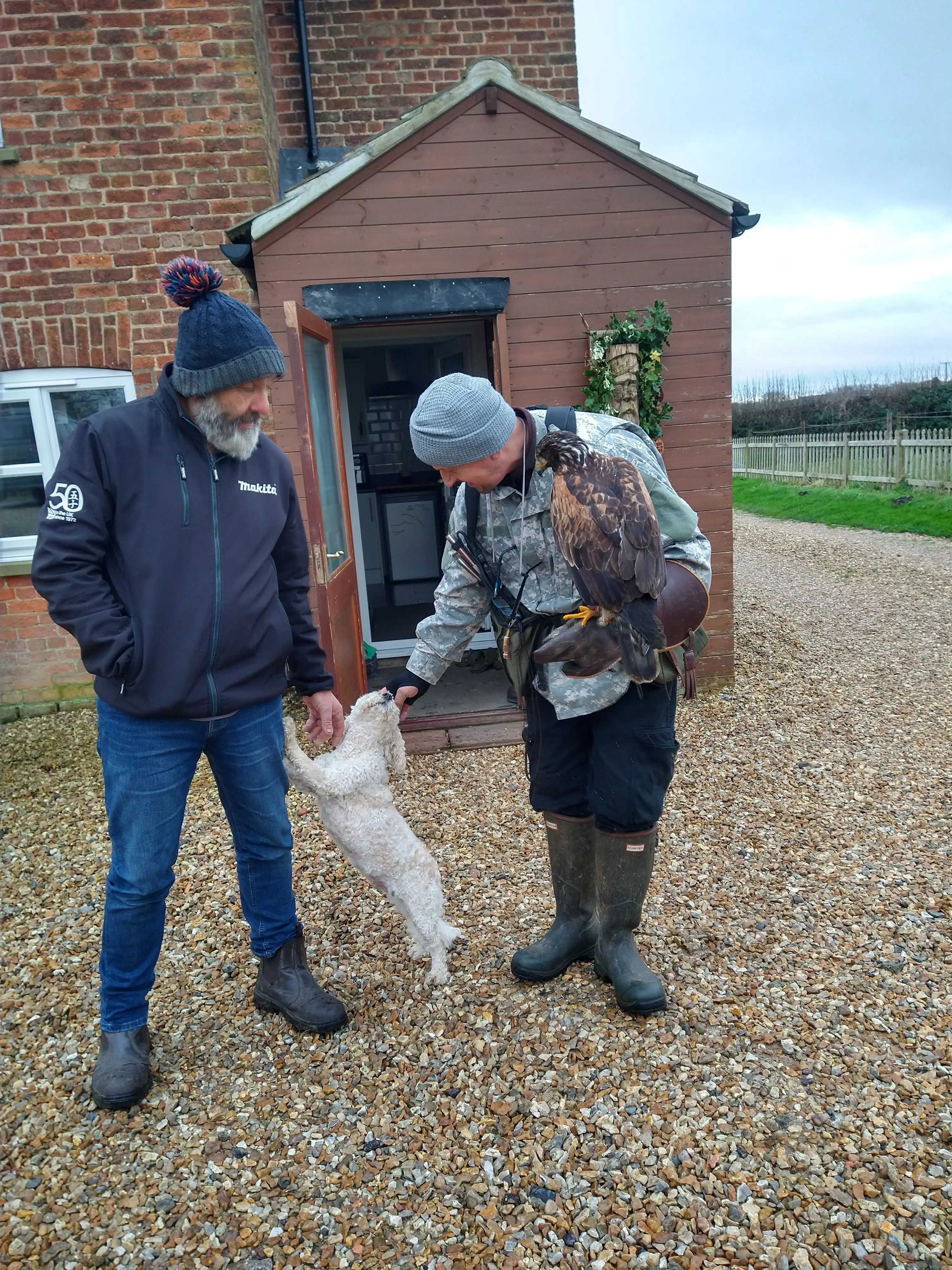 Help with horses, Lincolnshire farm - Thumbnail 21