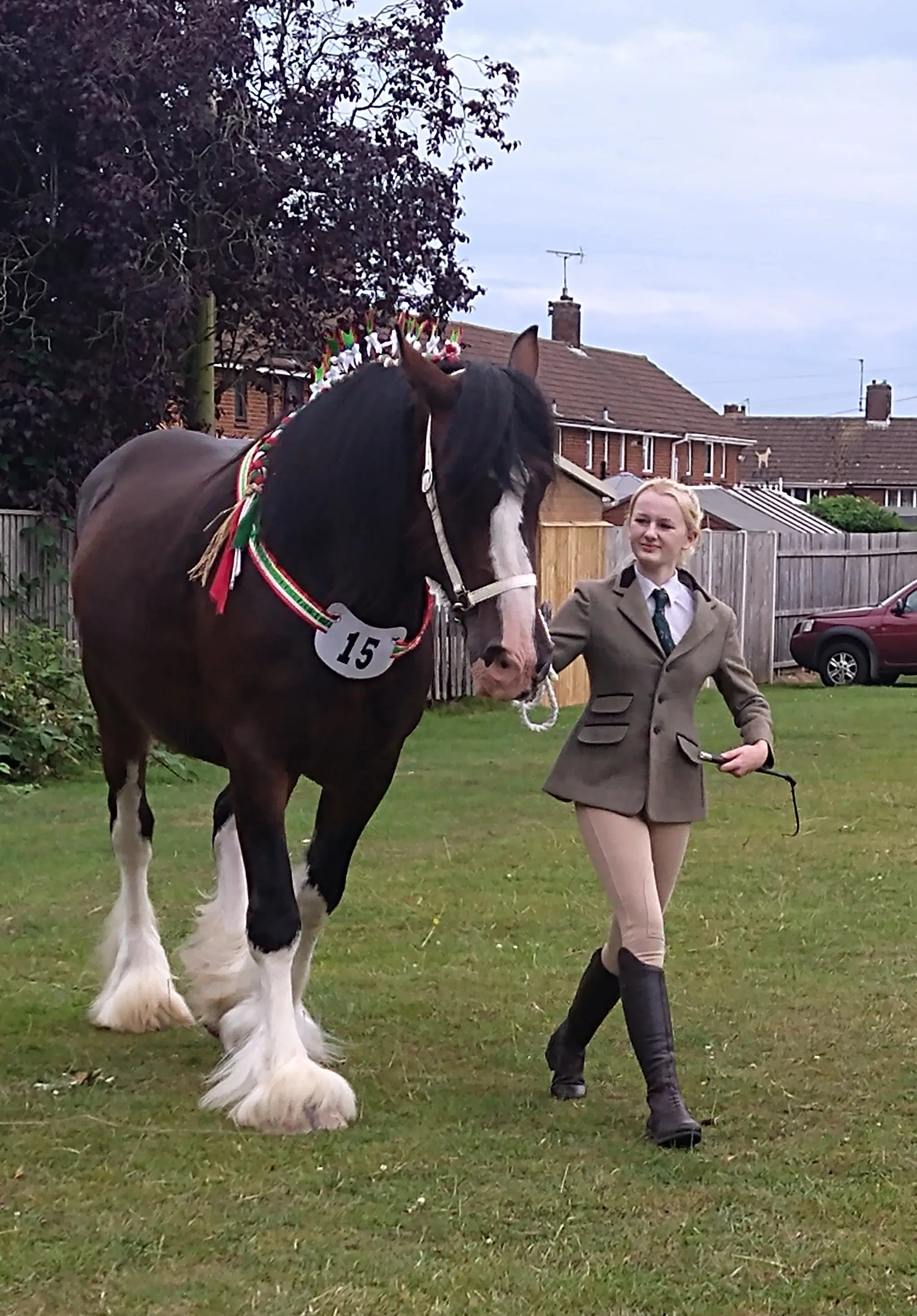 Help with horses, Lincolnshire farm - Thumbnail 23