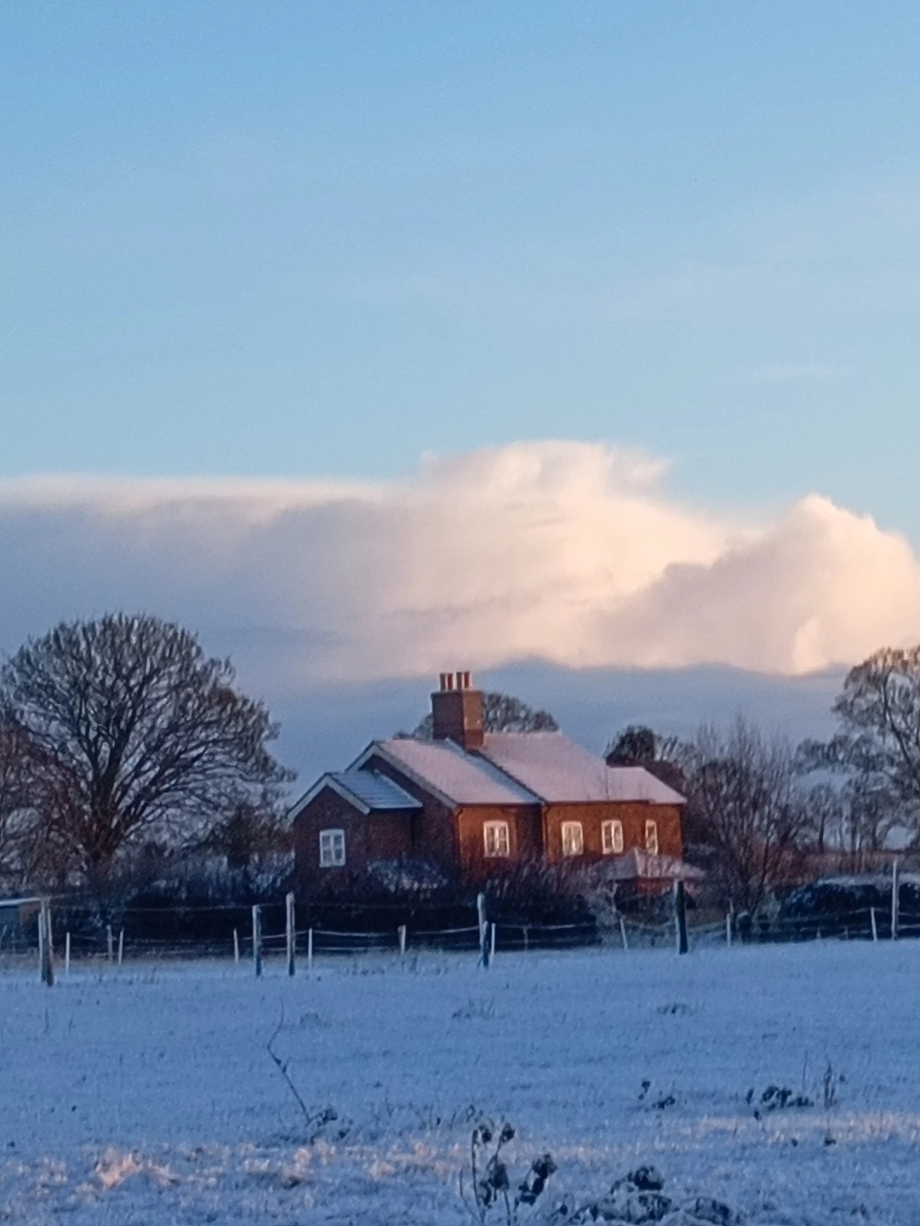 Help with horses, Lincolnshire farm - Thumbnail 1