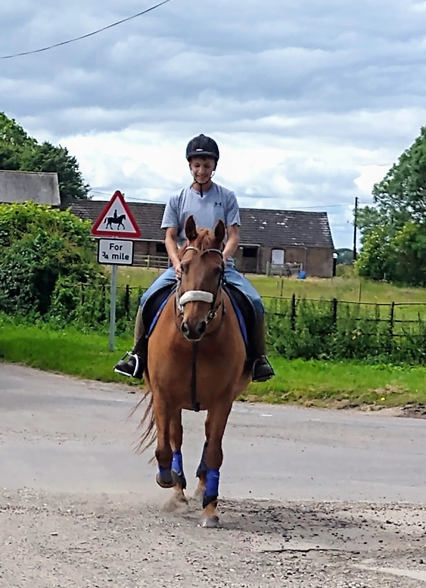 Jood and her horses - Thumbnail 6