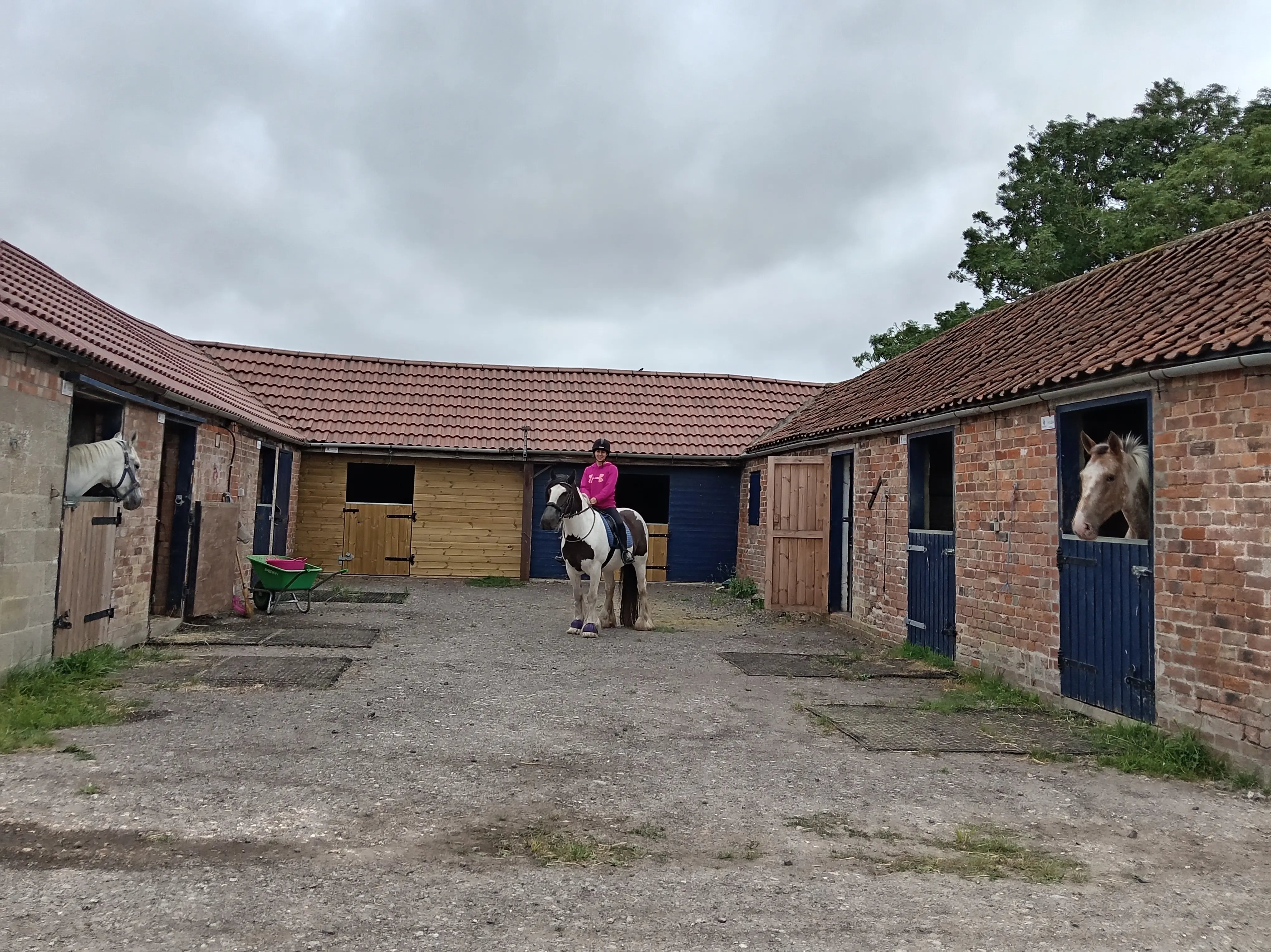 Jood and her horses - Thumbnail 8