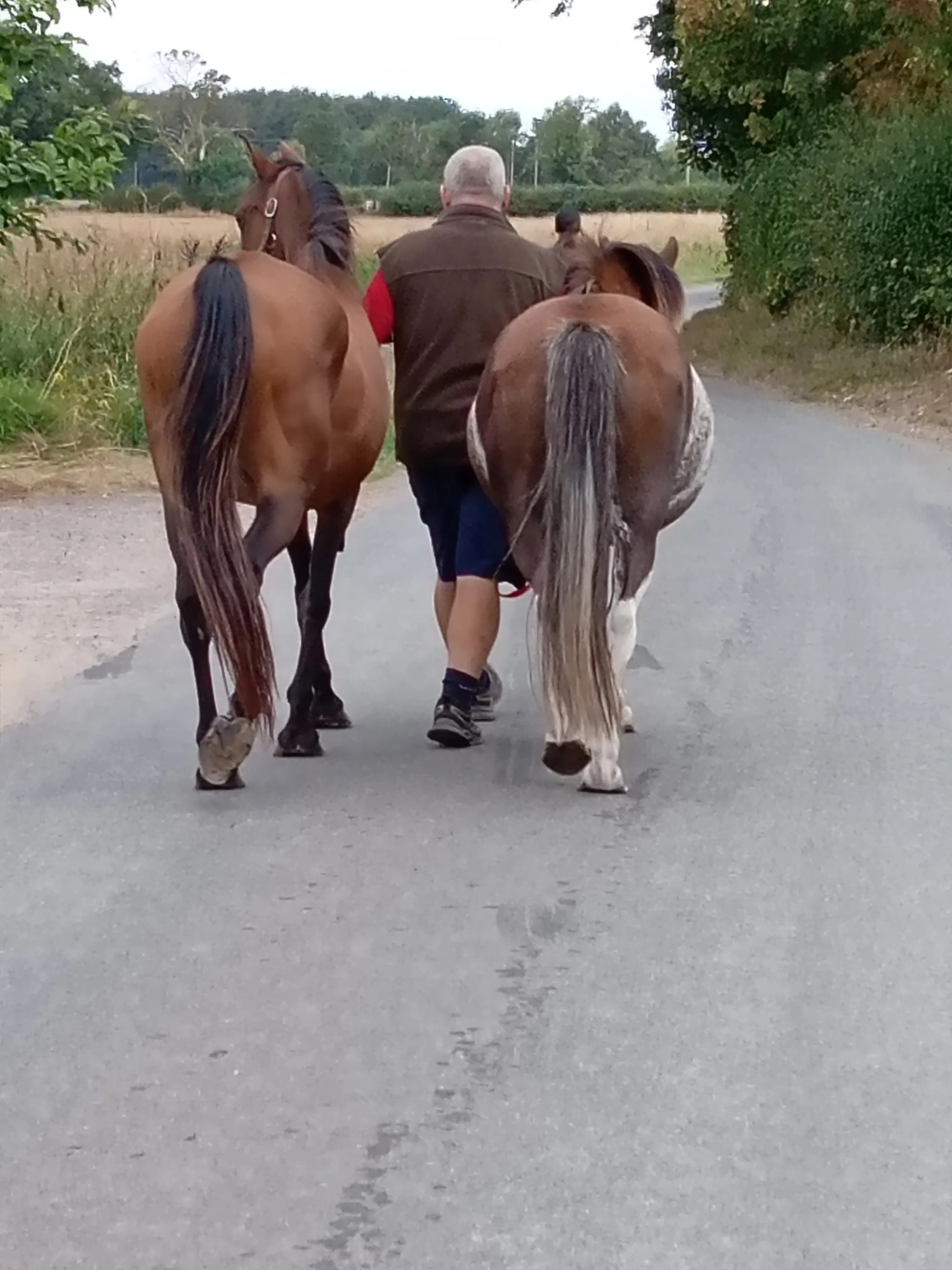 Jood and her horses - Thumbnail 19