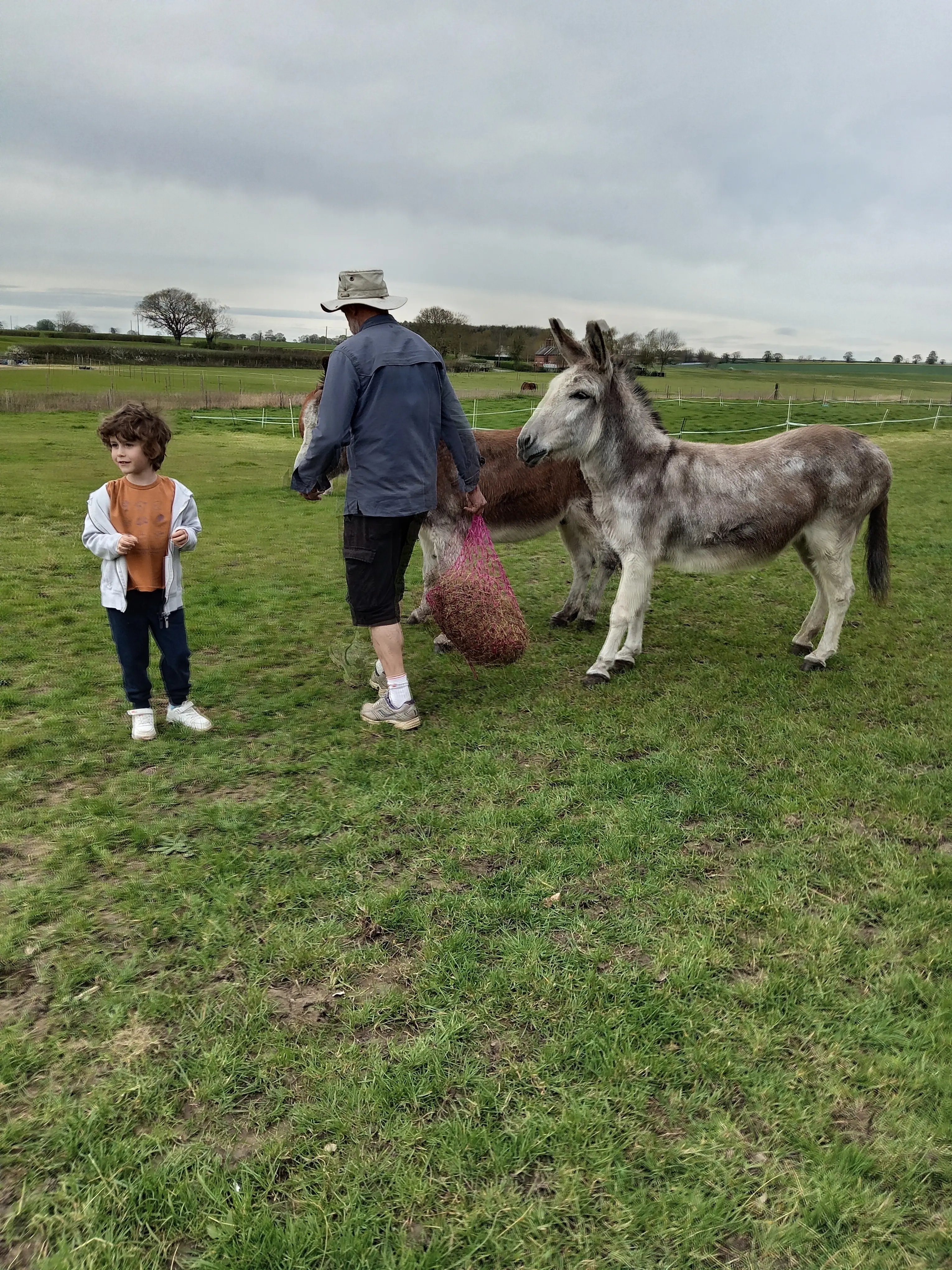 Jood and her horses - Thumbnail 15