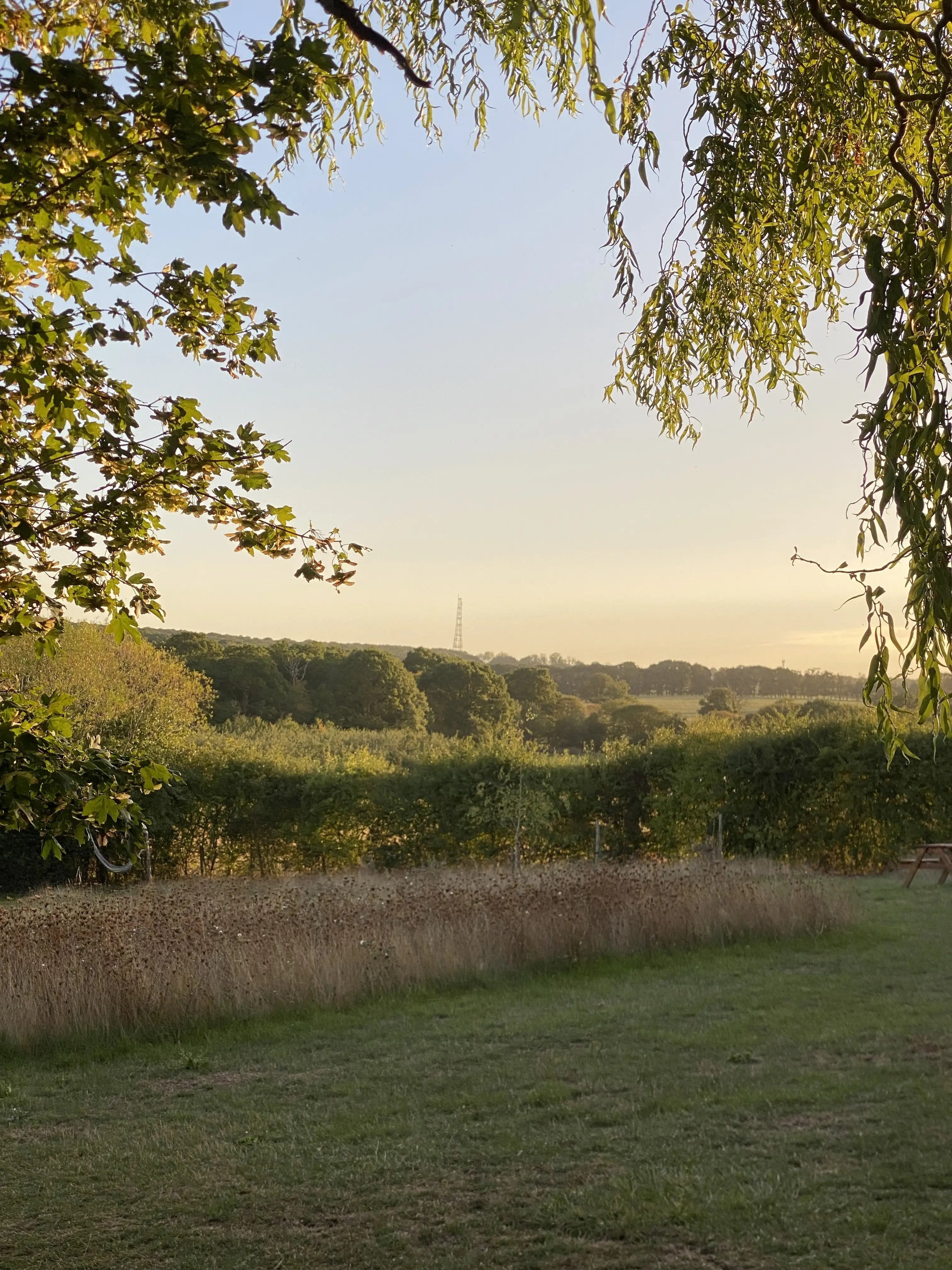 Eco glamping, Kent - Thumbnail 13
