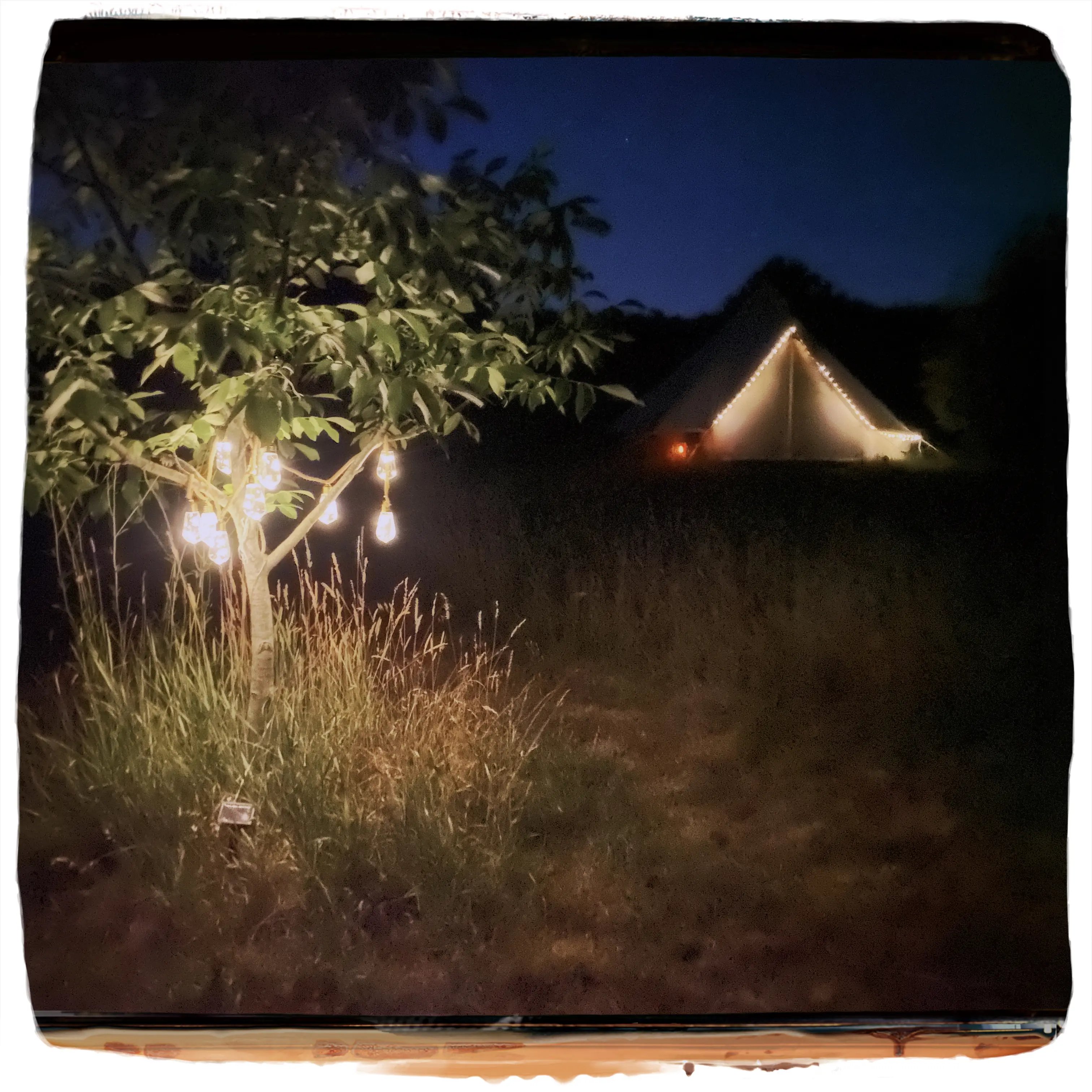 Eco glamping, Kent - Thumbnail 8