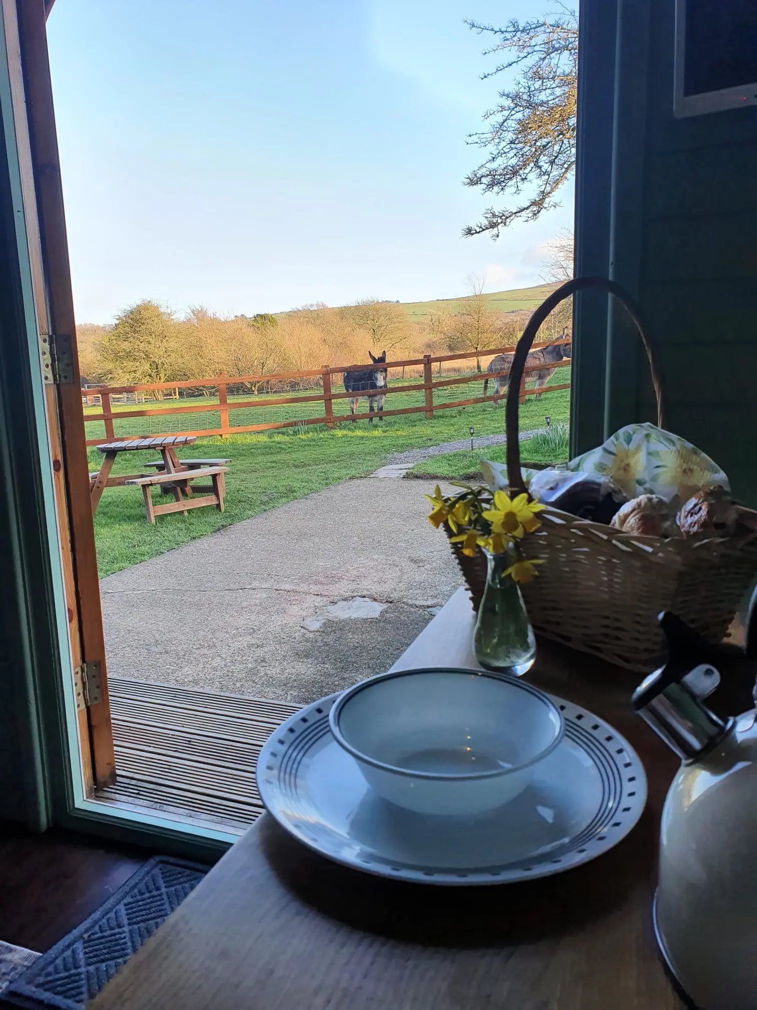 Glamping on a farm, west Wales - Thumbnail 4