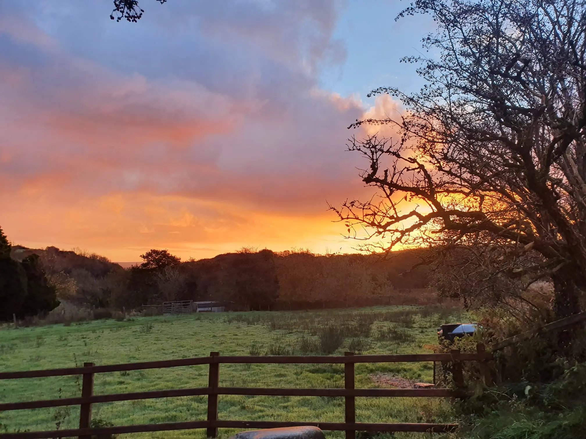 Glamping on a farm, west Wales - Thumbnail 9
