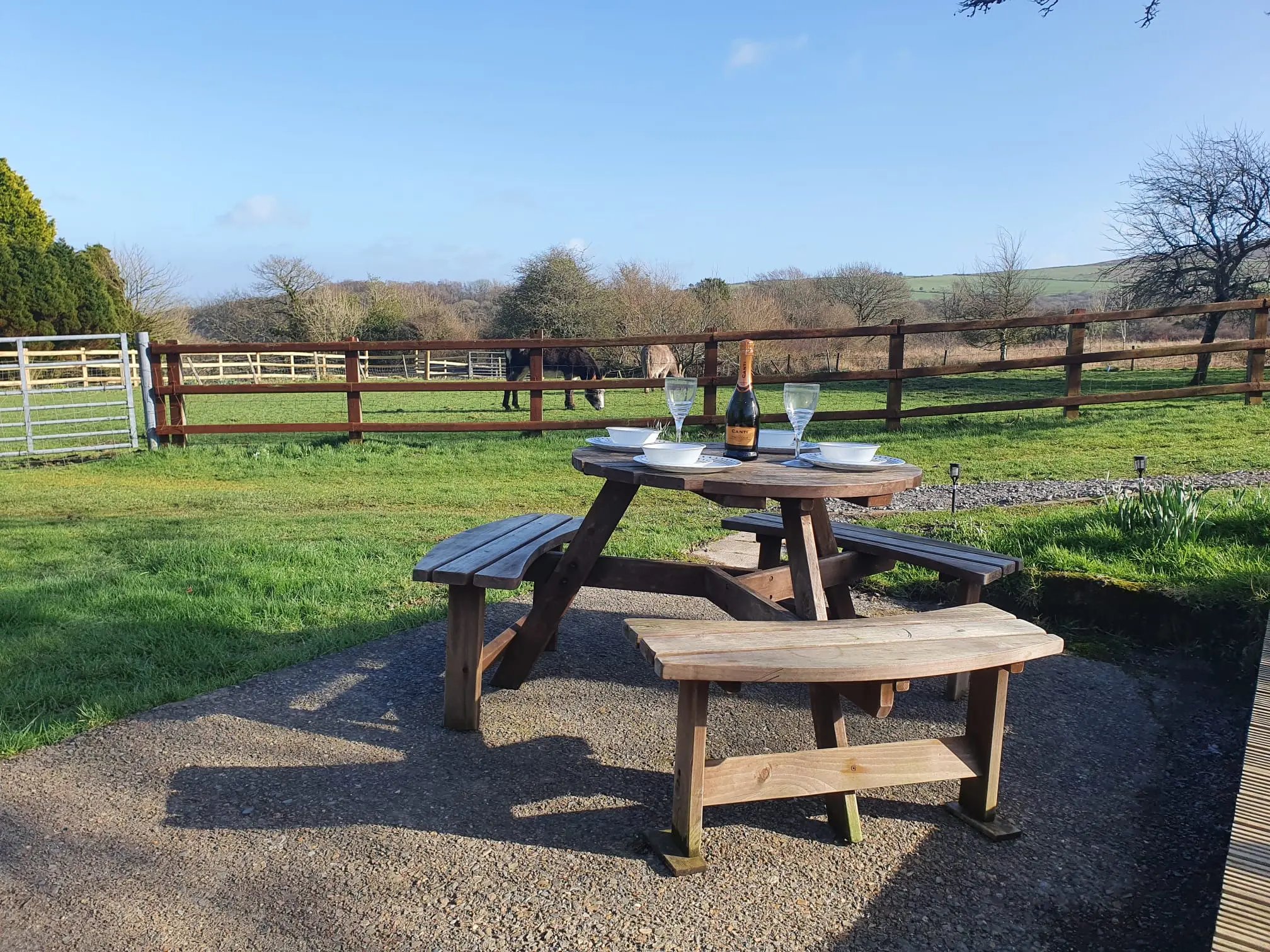 Glamping on a farm, west Wales - Thumbnail 5
