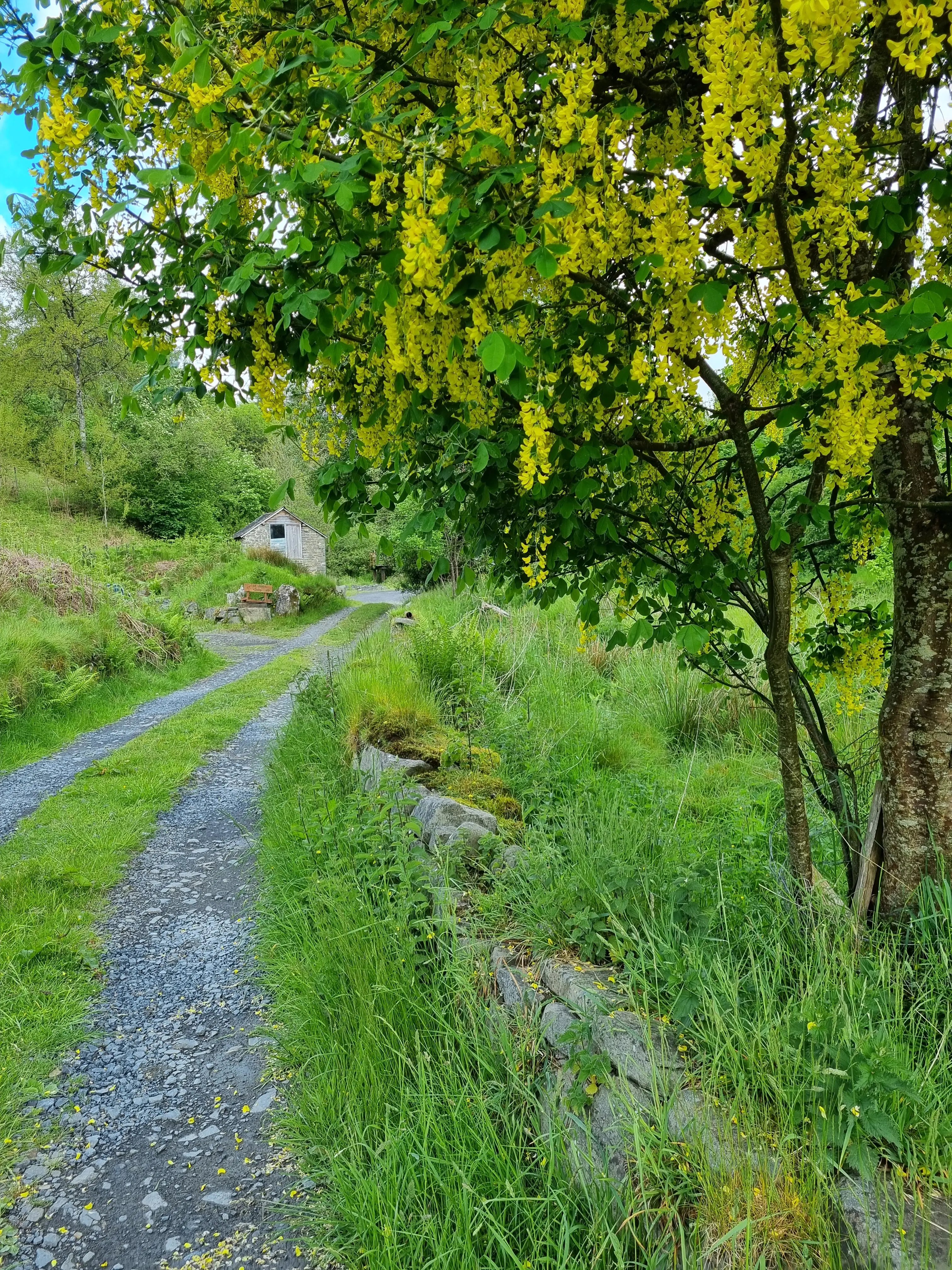 Cottage escape, mid-Wales - Thumbnail 9