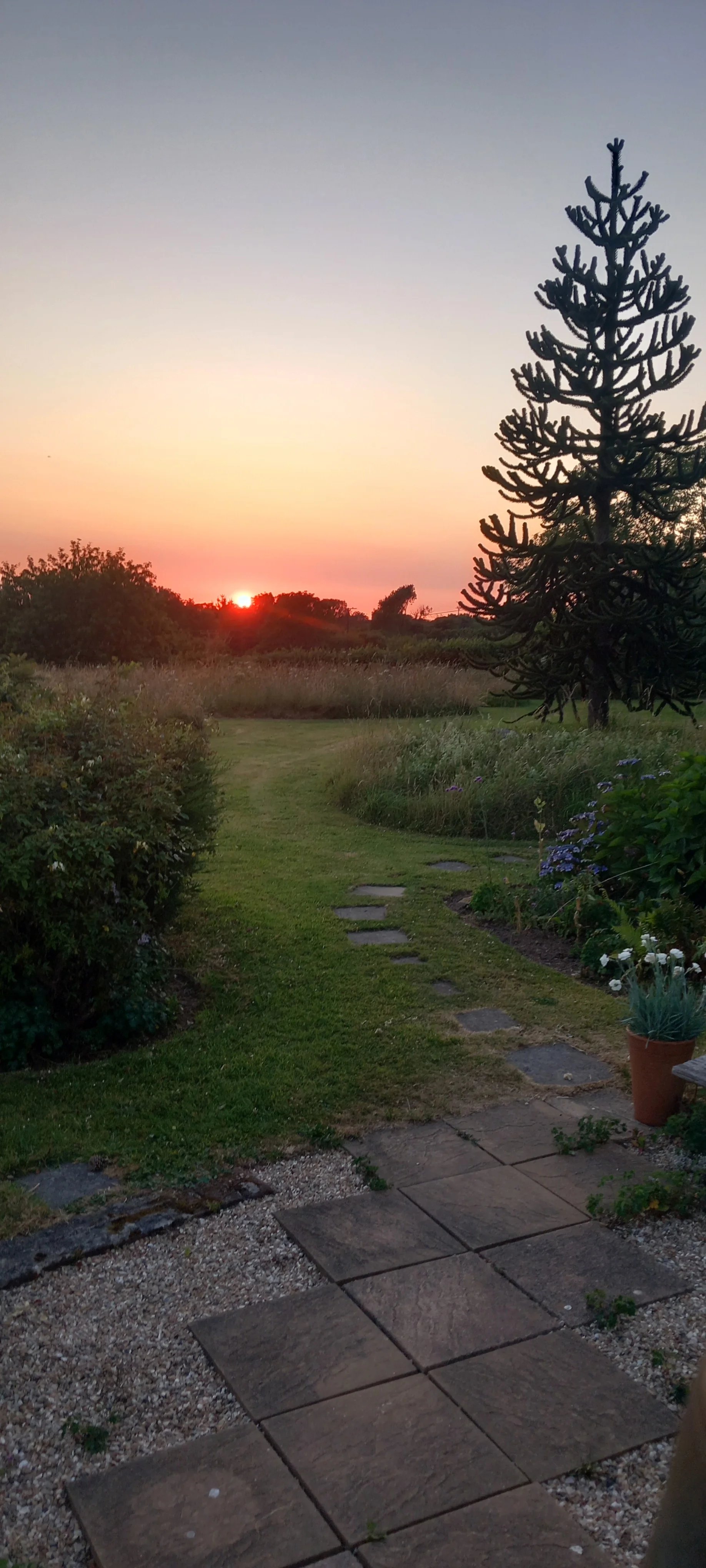 Gardening help in Devon - Thumbnail 6