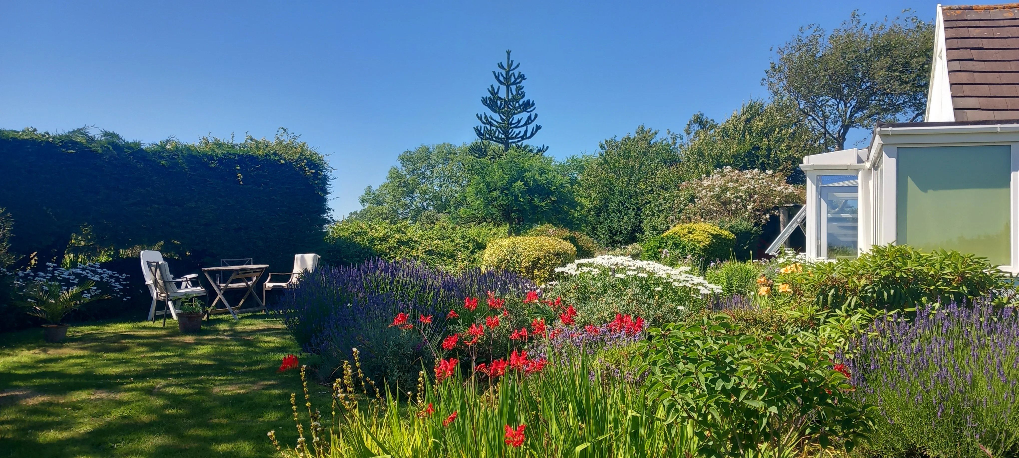 Gardening help in Devon - Thumbnail 7