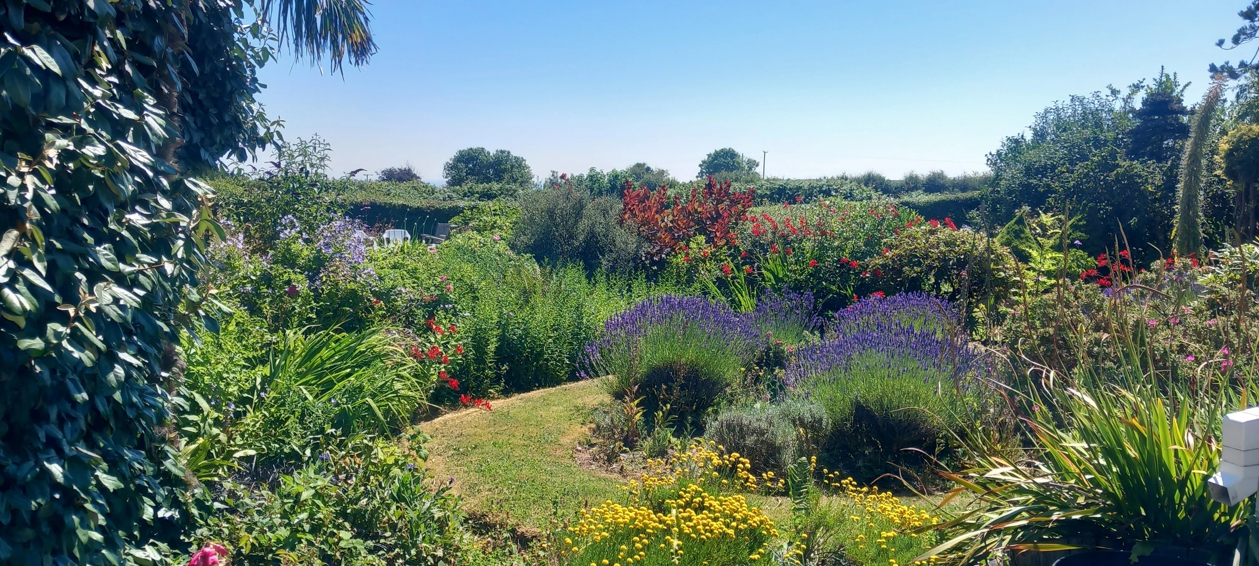 Gardening help in Devon - Thumbnail 8