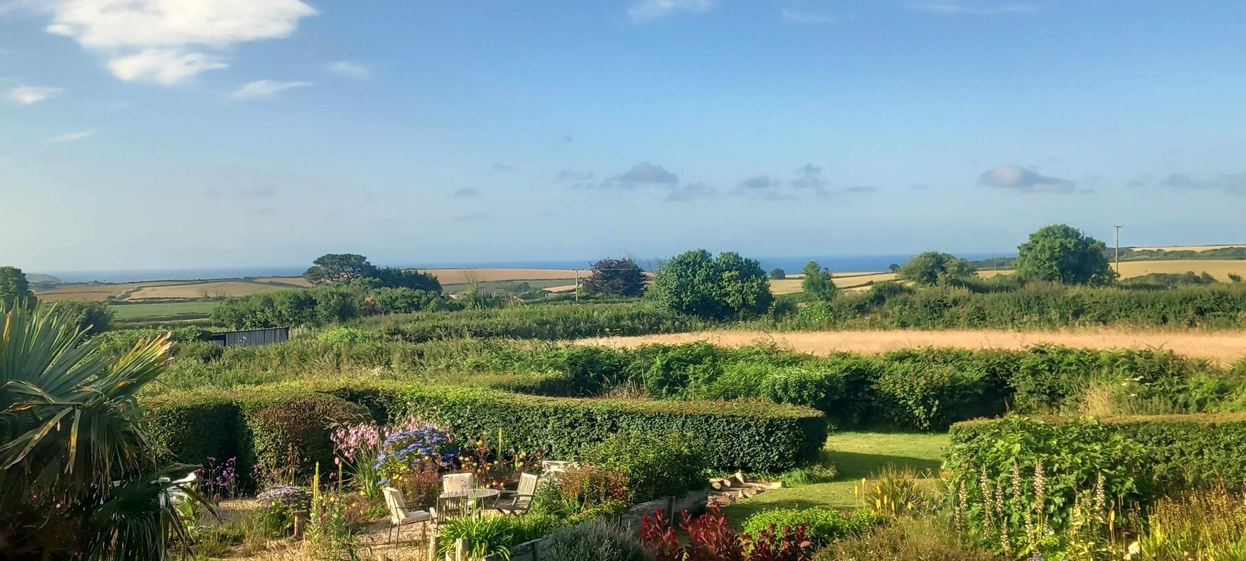 Gardening help in Devon - Thumbnail 20