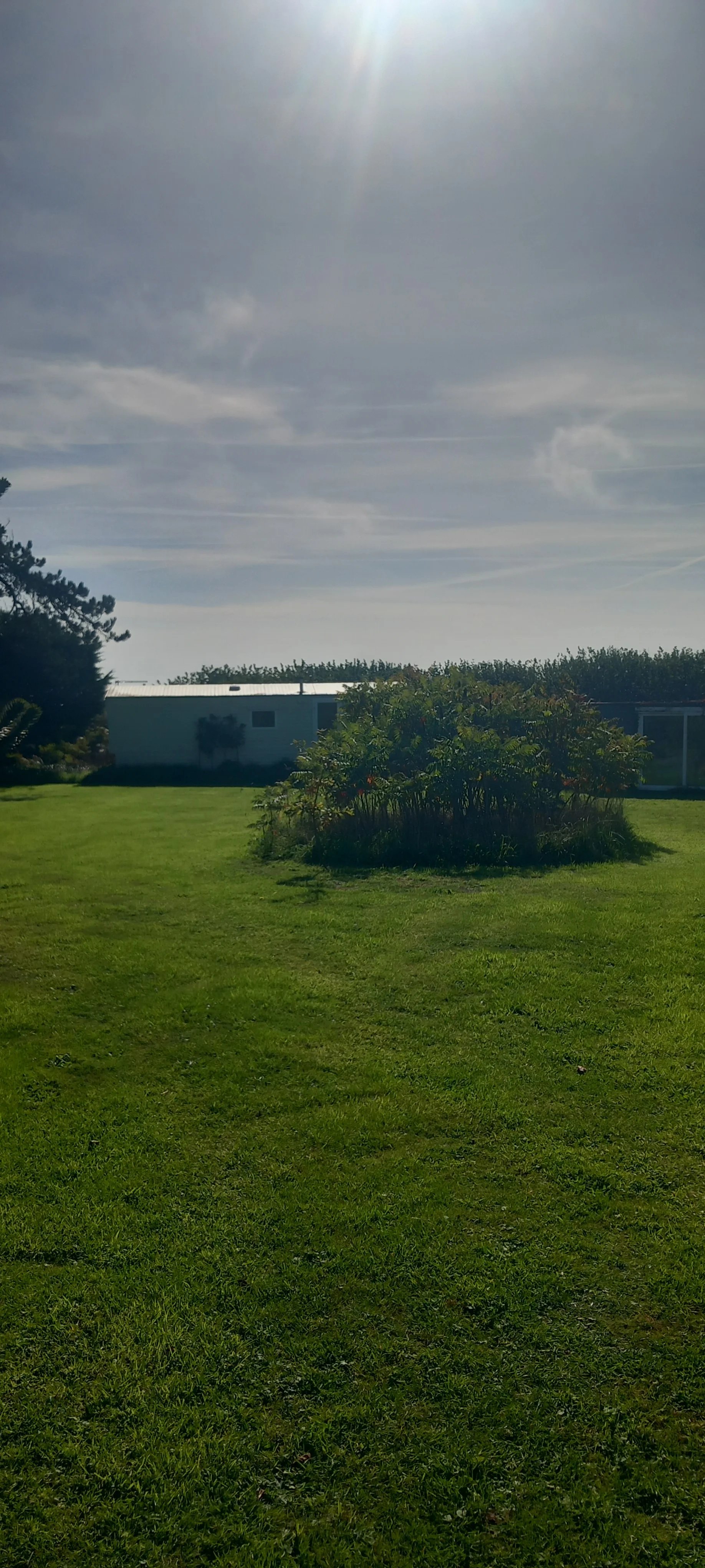 Gardening help in Devon - Thumbnail 13