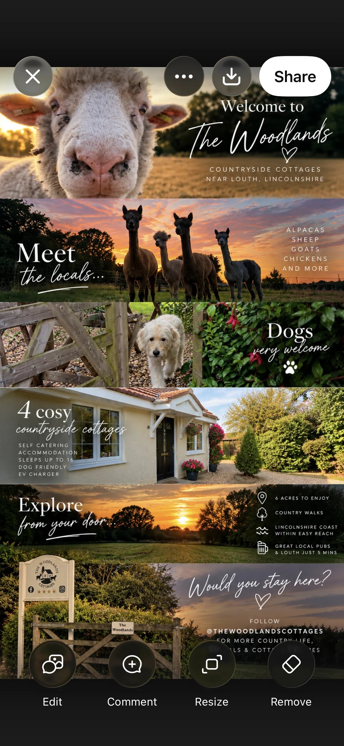 Cottage on a Lincolnshire animal farm - Thumbnail 10