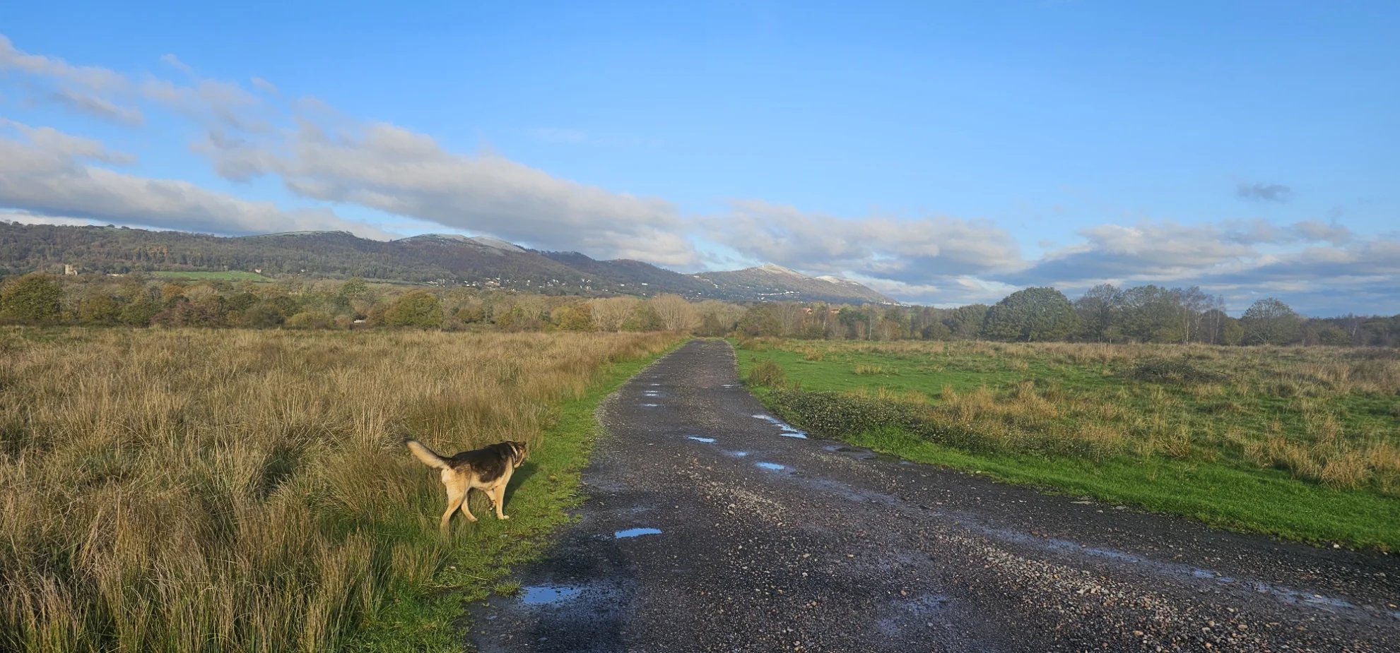 Peaceful caravan site In Malvern, Worcs - Thumbnail 35