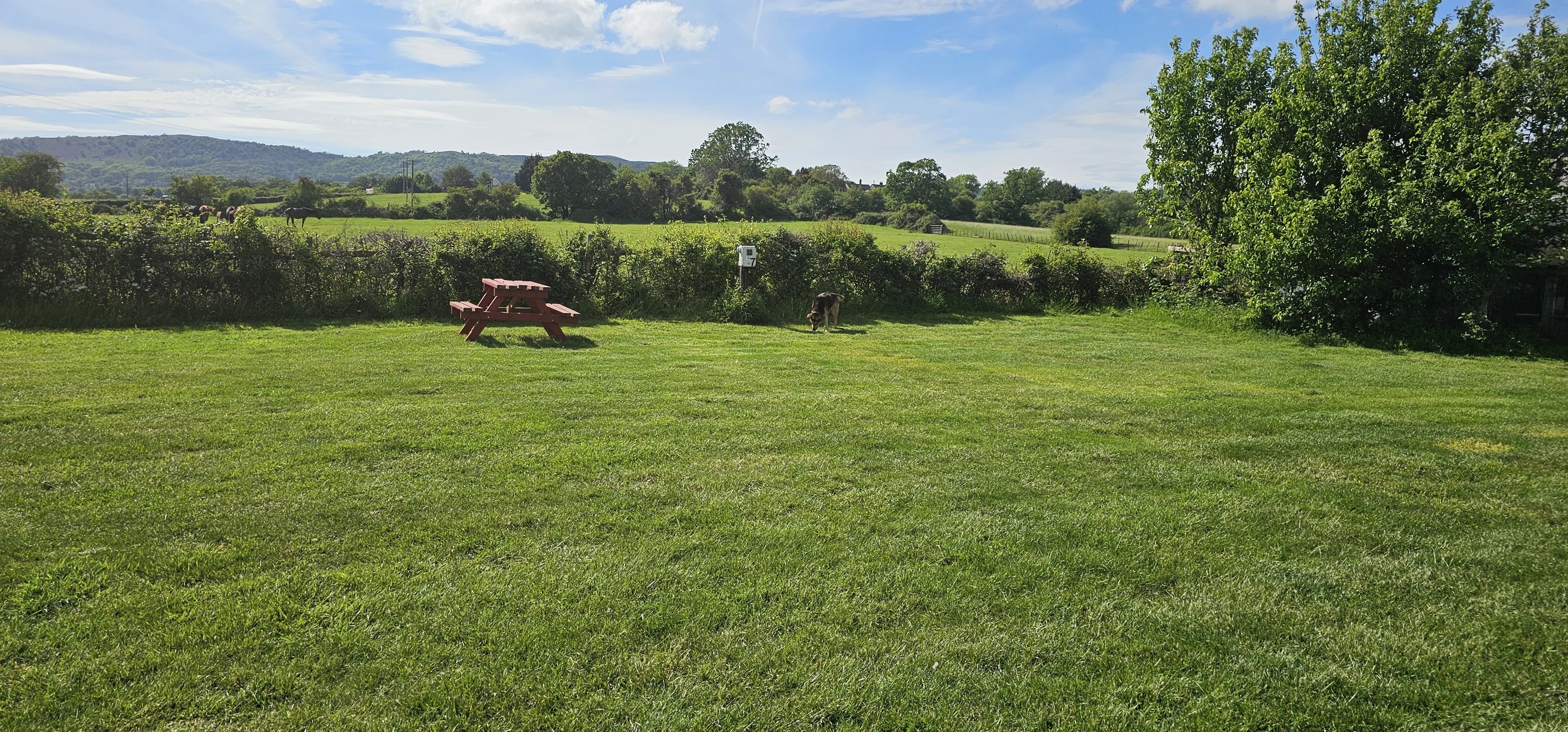 Peaceful caravan site In Malvern, Worcs - Thumbnail 4