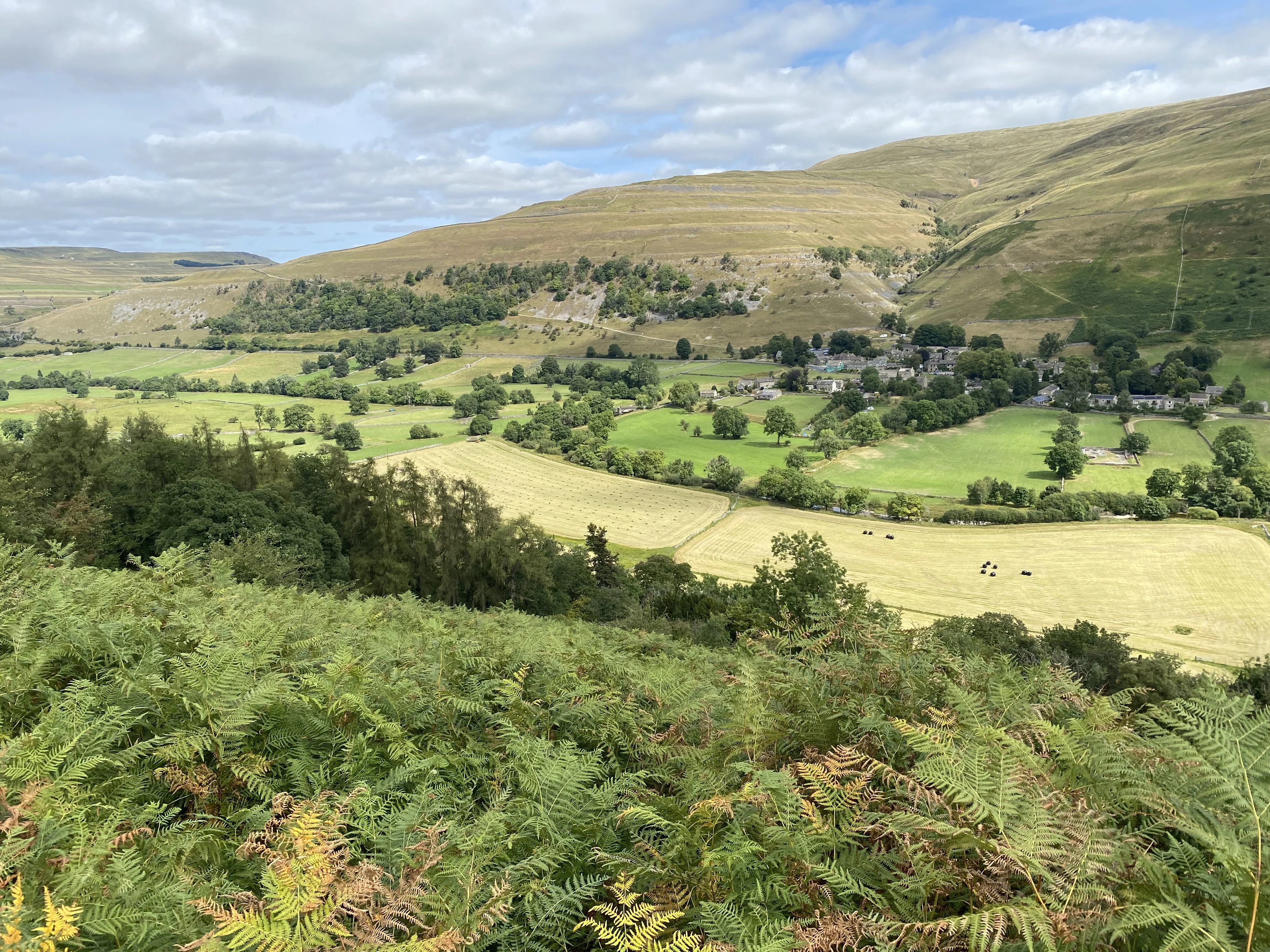 Everyday help on a Yorkshire Dales farm - Thumbnail 4