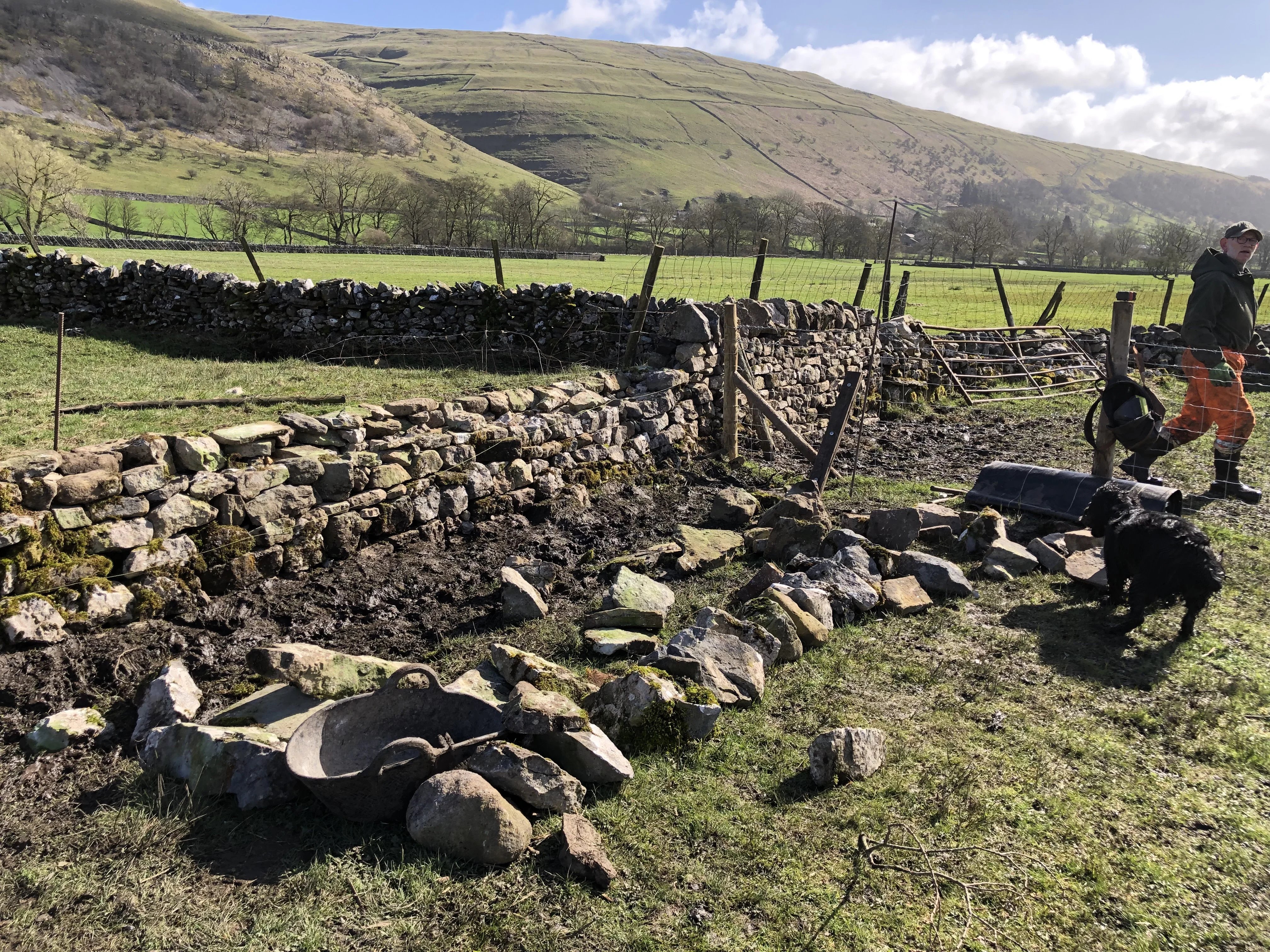 Everyday help on a Yorkshire Dales farm - Thumbnail 24