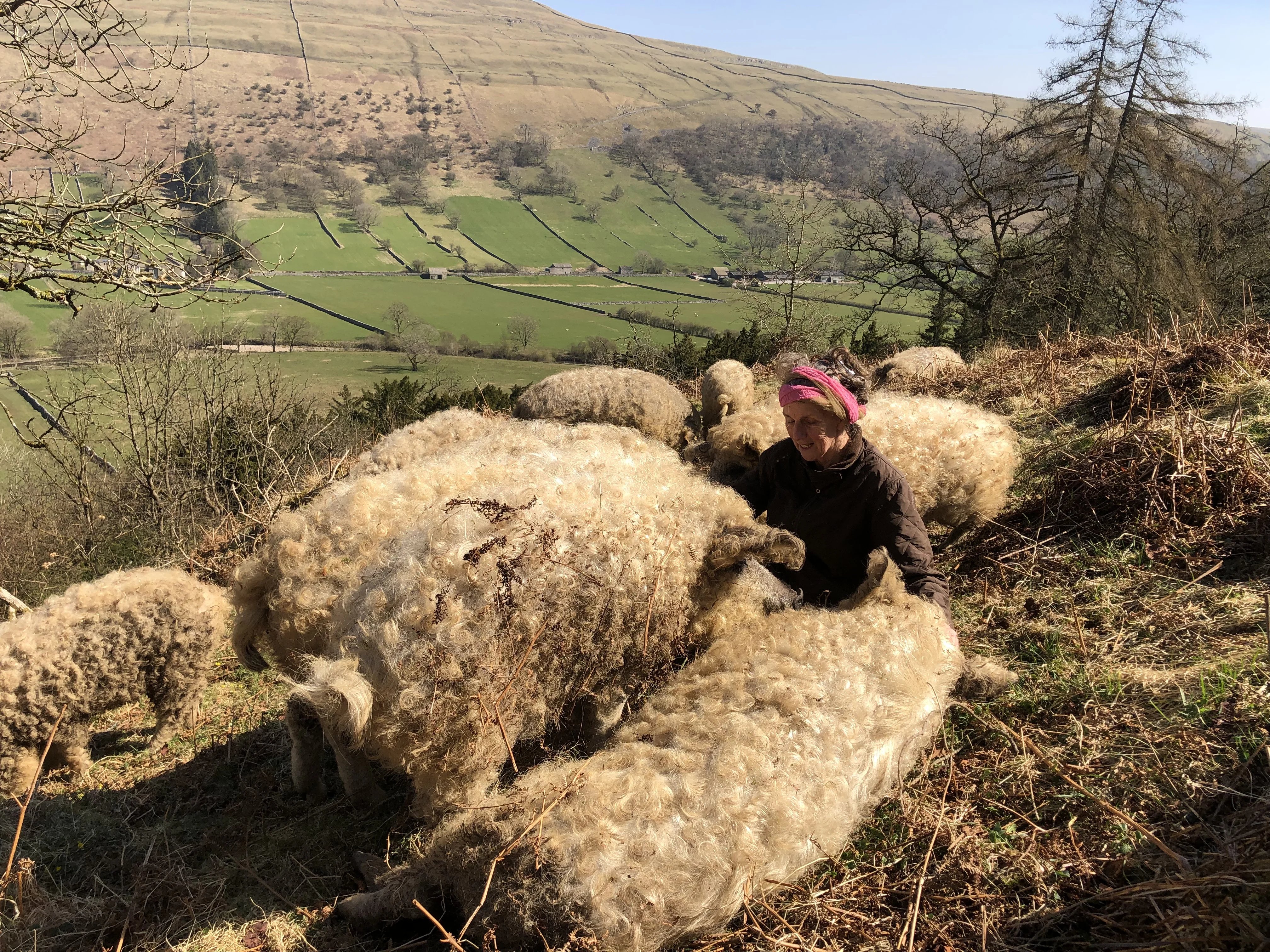 Everyday help on a Yorkshire Dales farm - Thumbnail 41