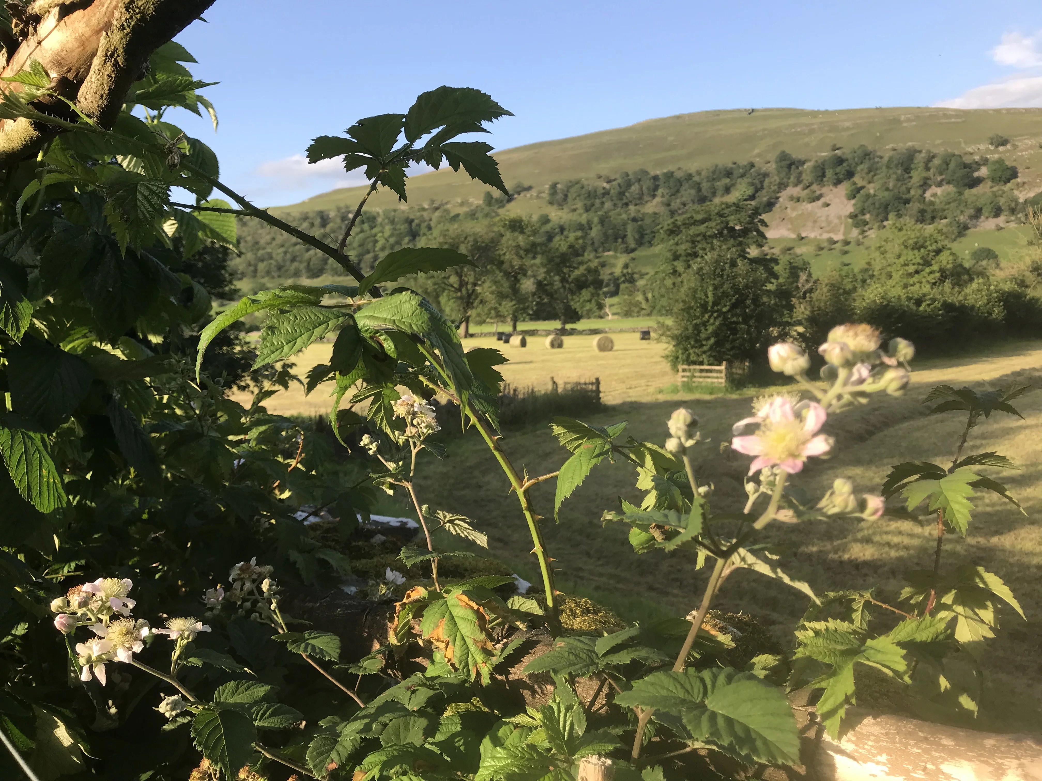 Everyday help on a Yorkshire Dales farm - Thumbnail 28