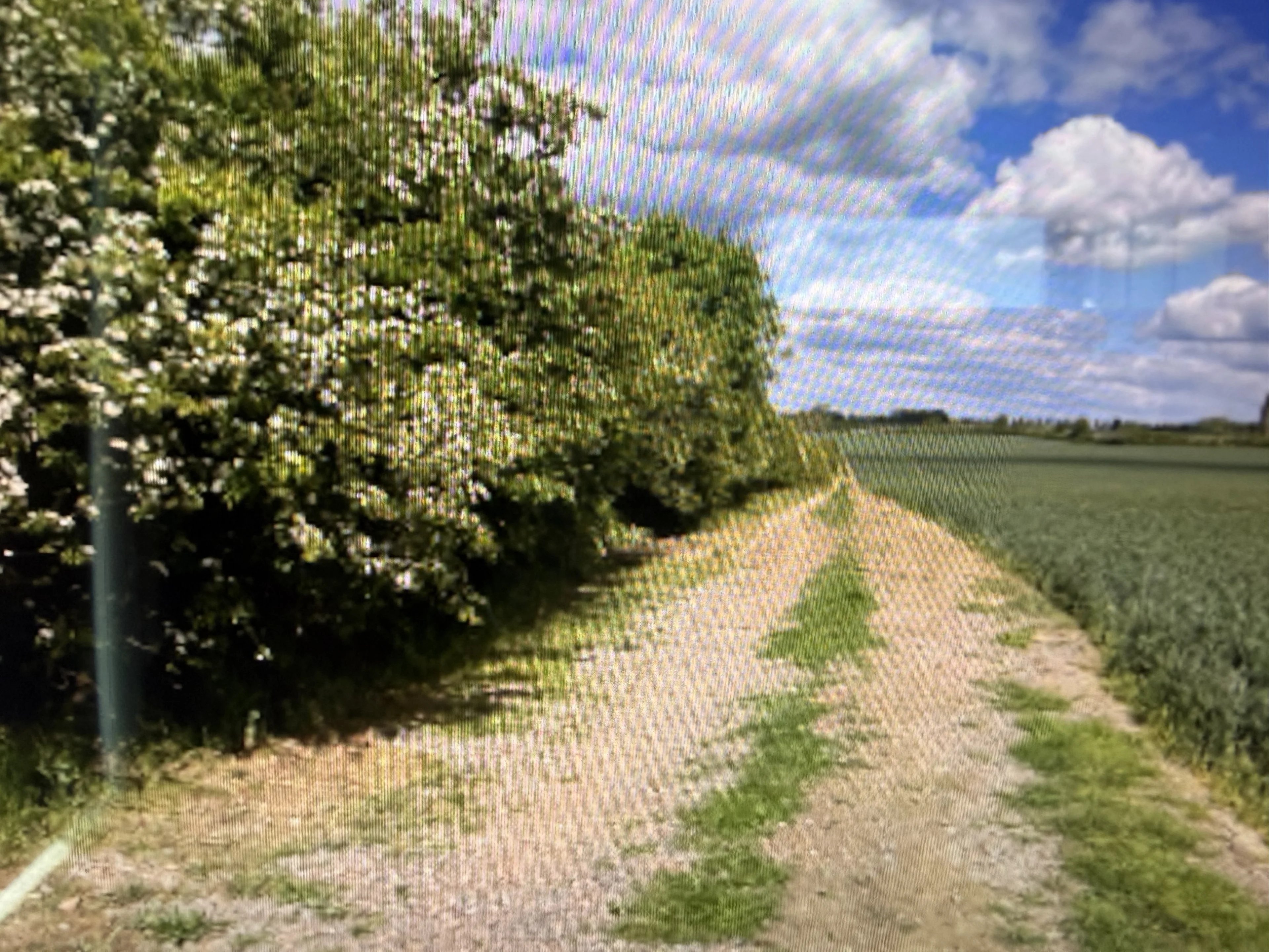 Help at a Bedfordshire cottage. - Thumbnail 12
