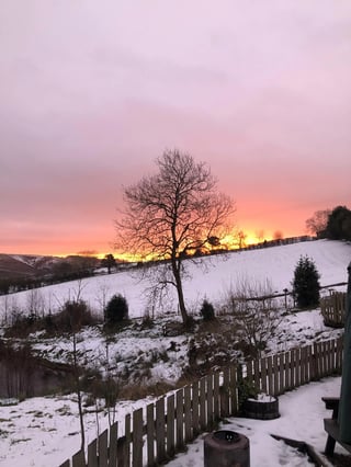 Organic Farm in the Clun hills